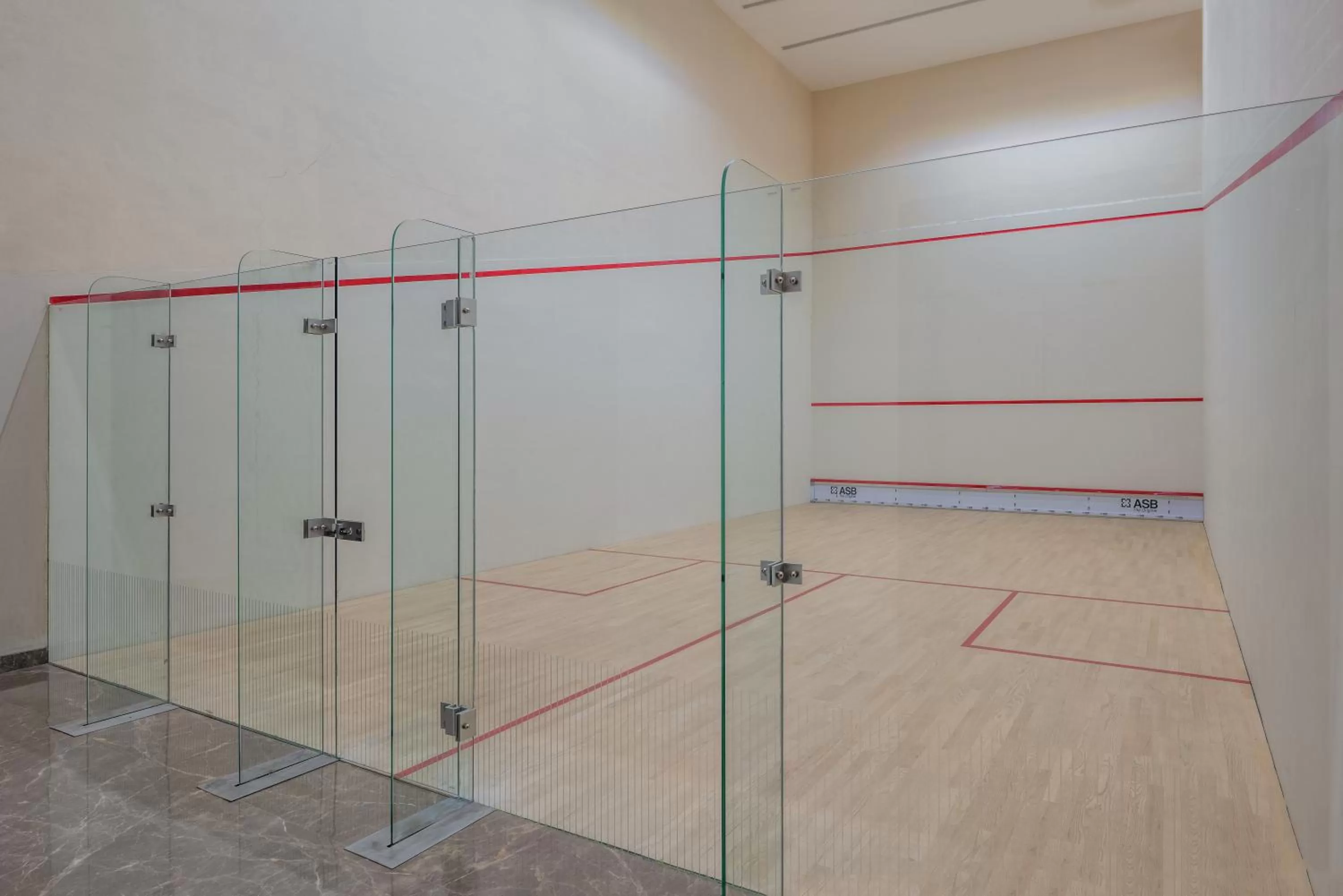 Squash in Radisson Blu Hotel & Spa, Nashik