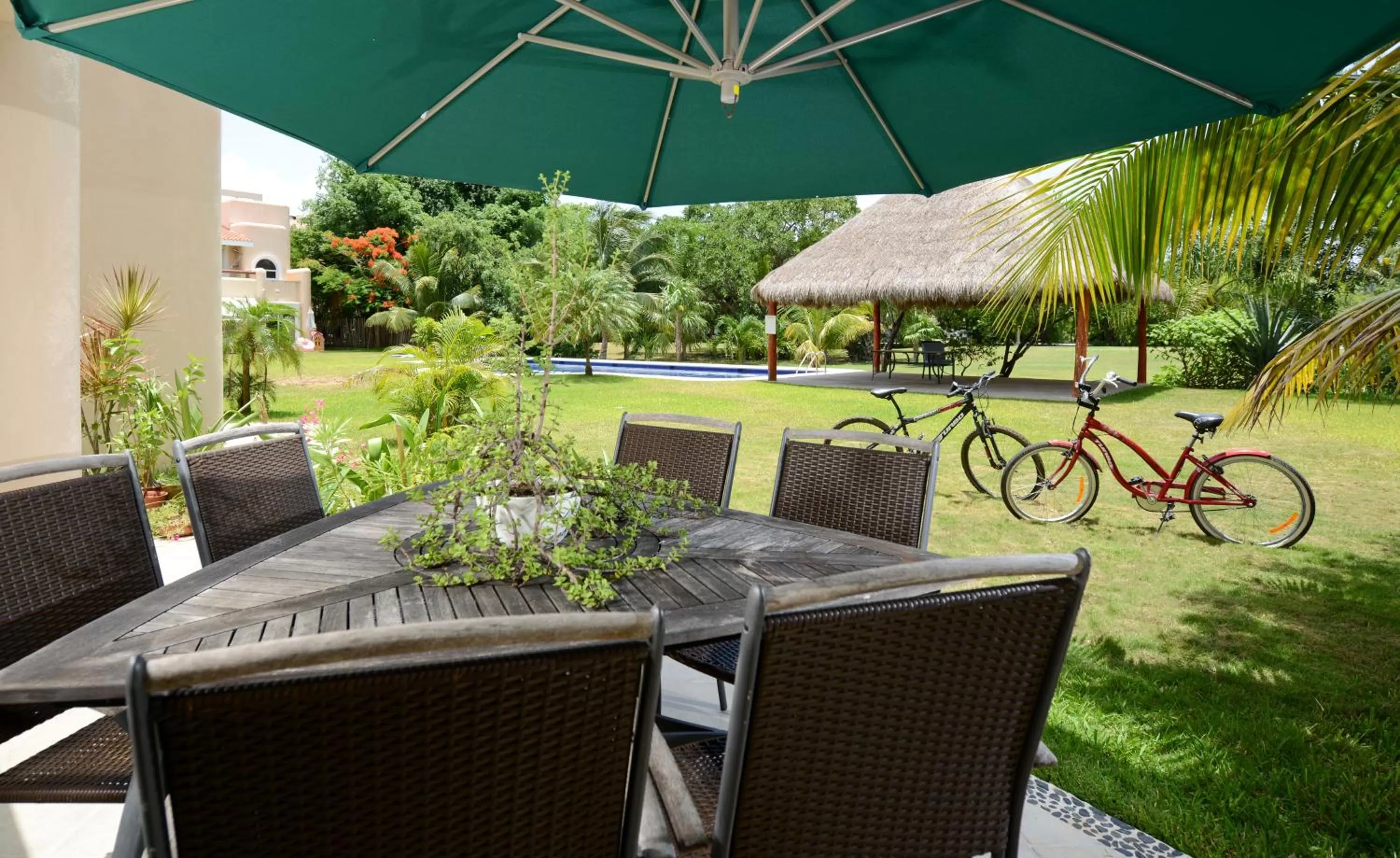 Garden in B&B Mom's House