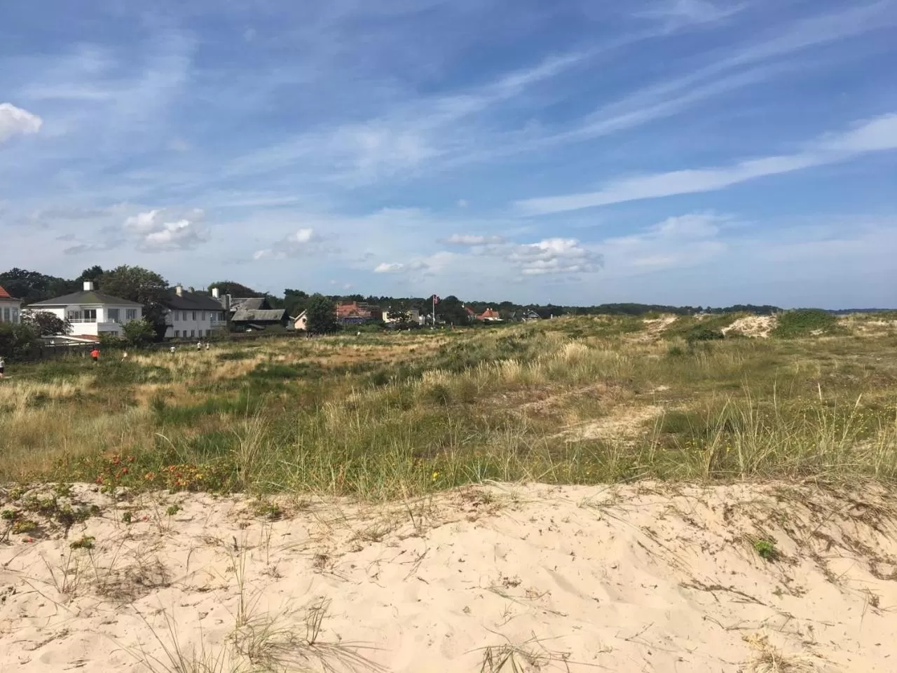 Natural landscape in Trouville Bed & Breakfast