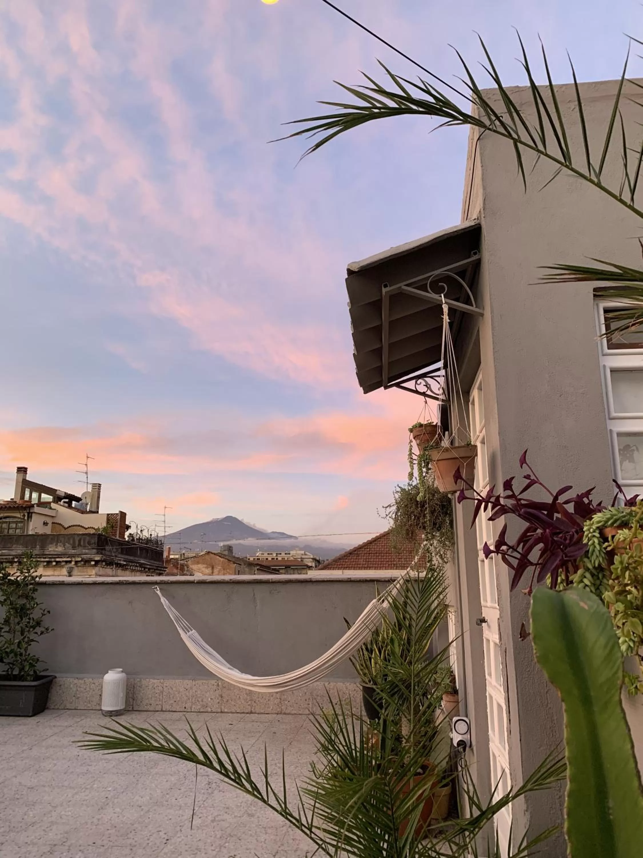 Property building in Homestay