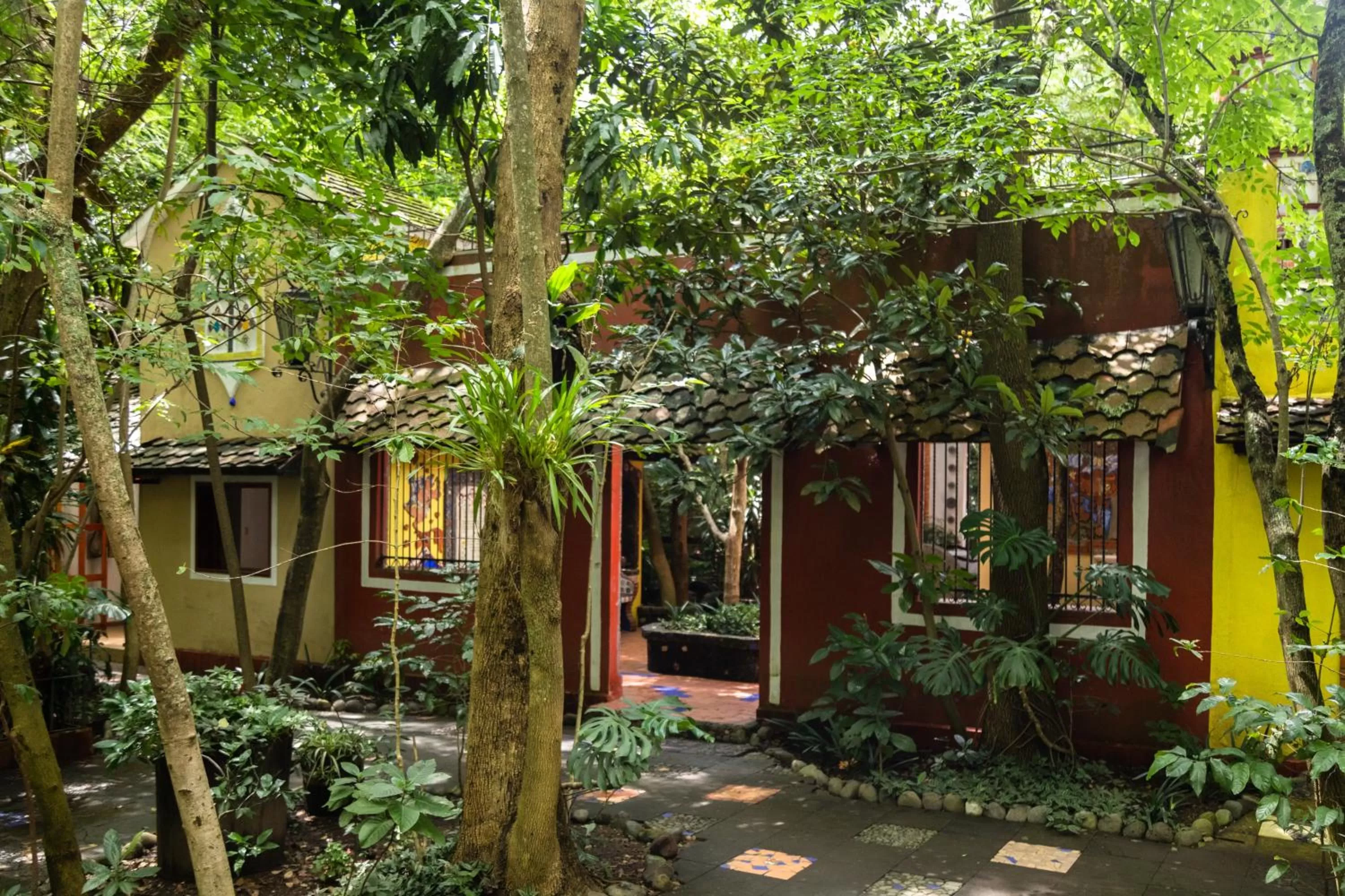 Garden view in Hotel La Casa de los Árboles Immersive Experience