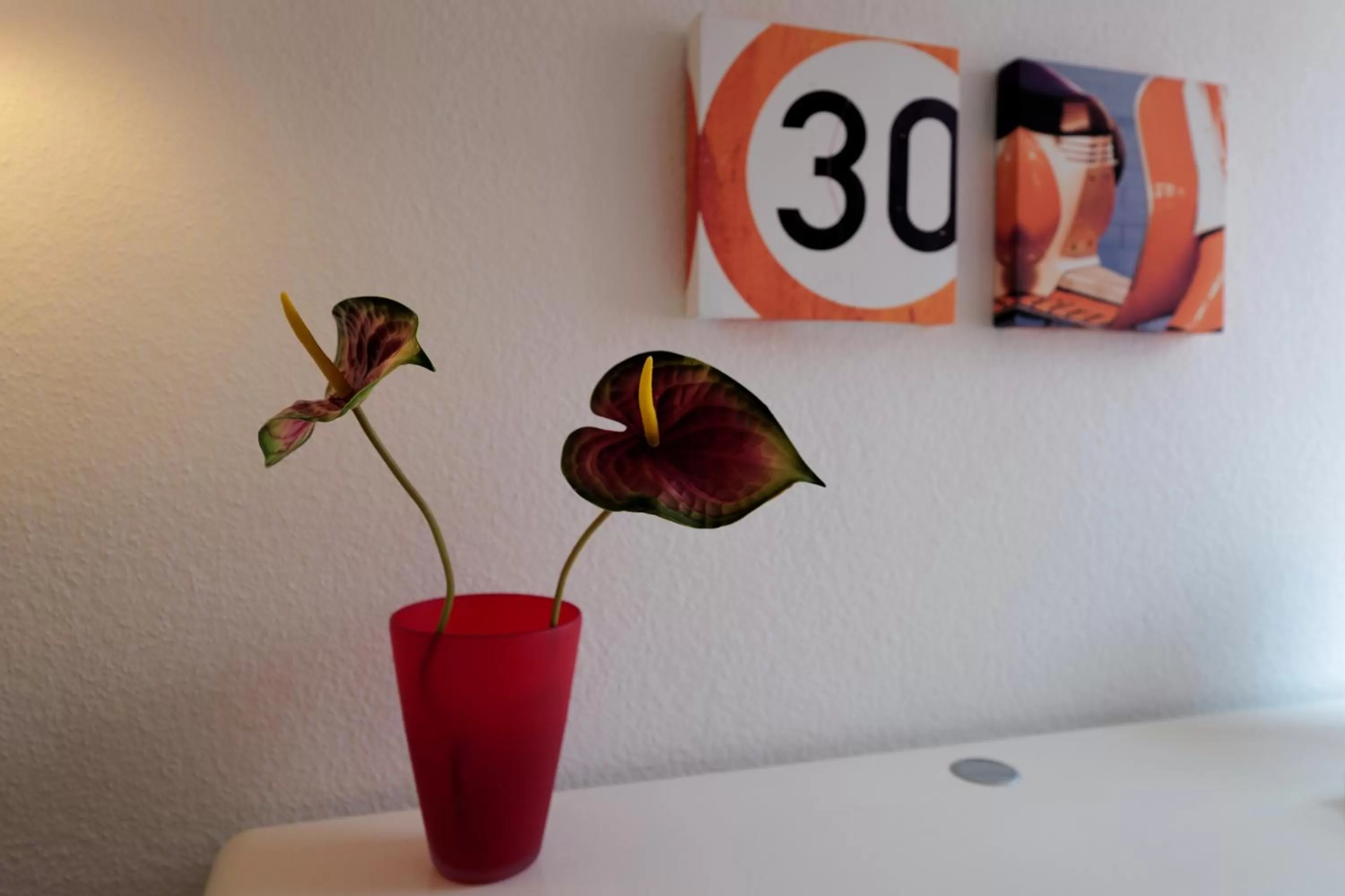 Elena Kempf Haaratelier & Guesthouse