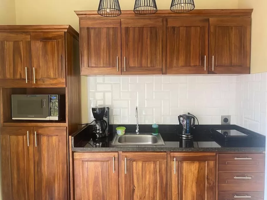 Kitchen or kitchenette, Kitchen/Kitchenette in Airport SJO Residence - Edward & Familia Inn