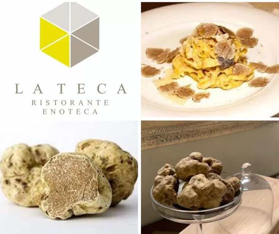 Text overlay in Hotel Monteverde