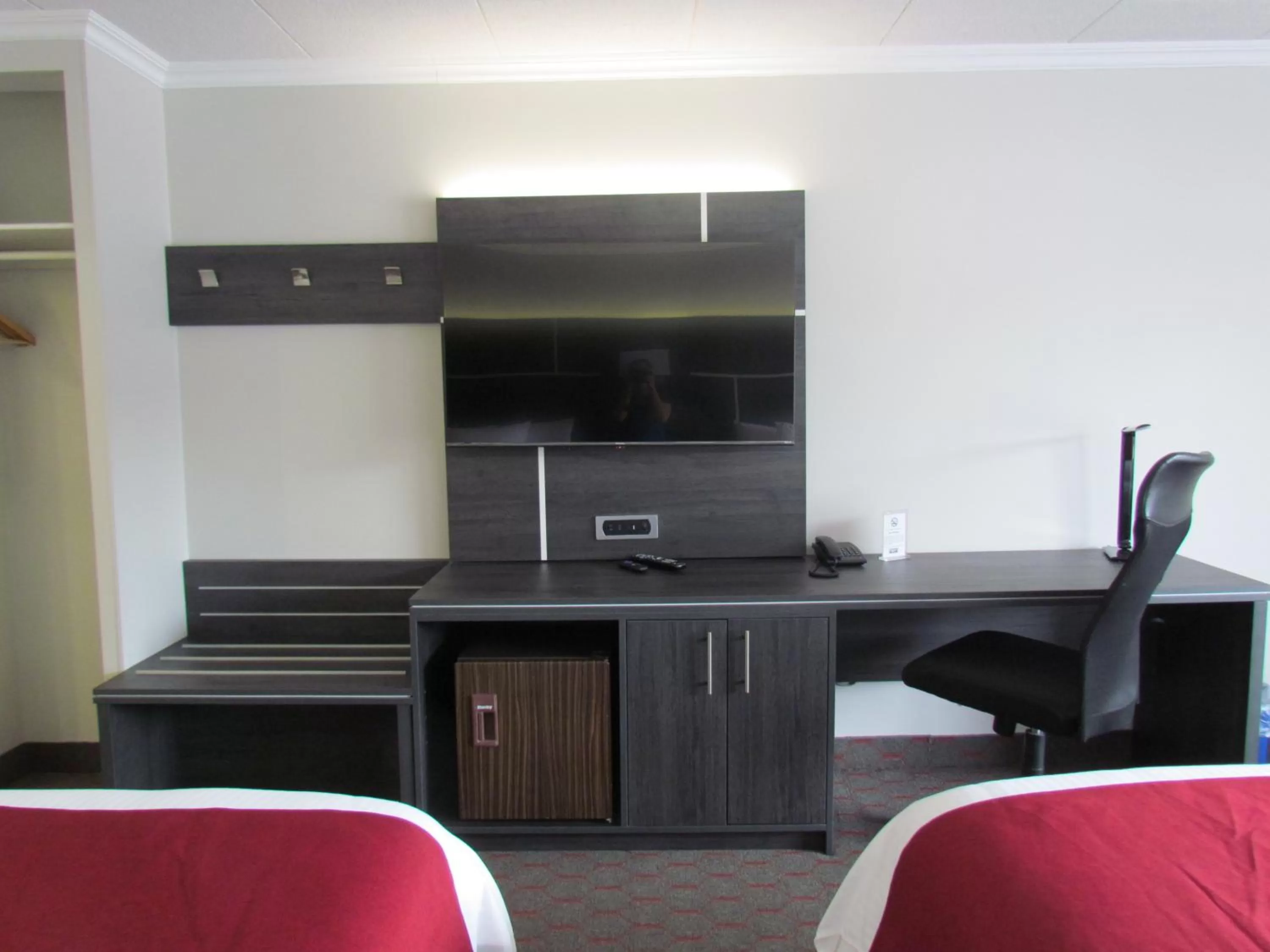 TV and multimedia in Rodeway Inn King William