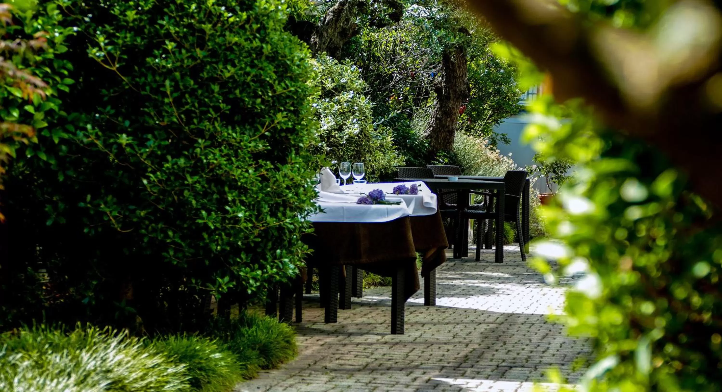 Restaurant/places to eat in Hotel Kristal 3 Stelle Superior