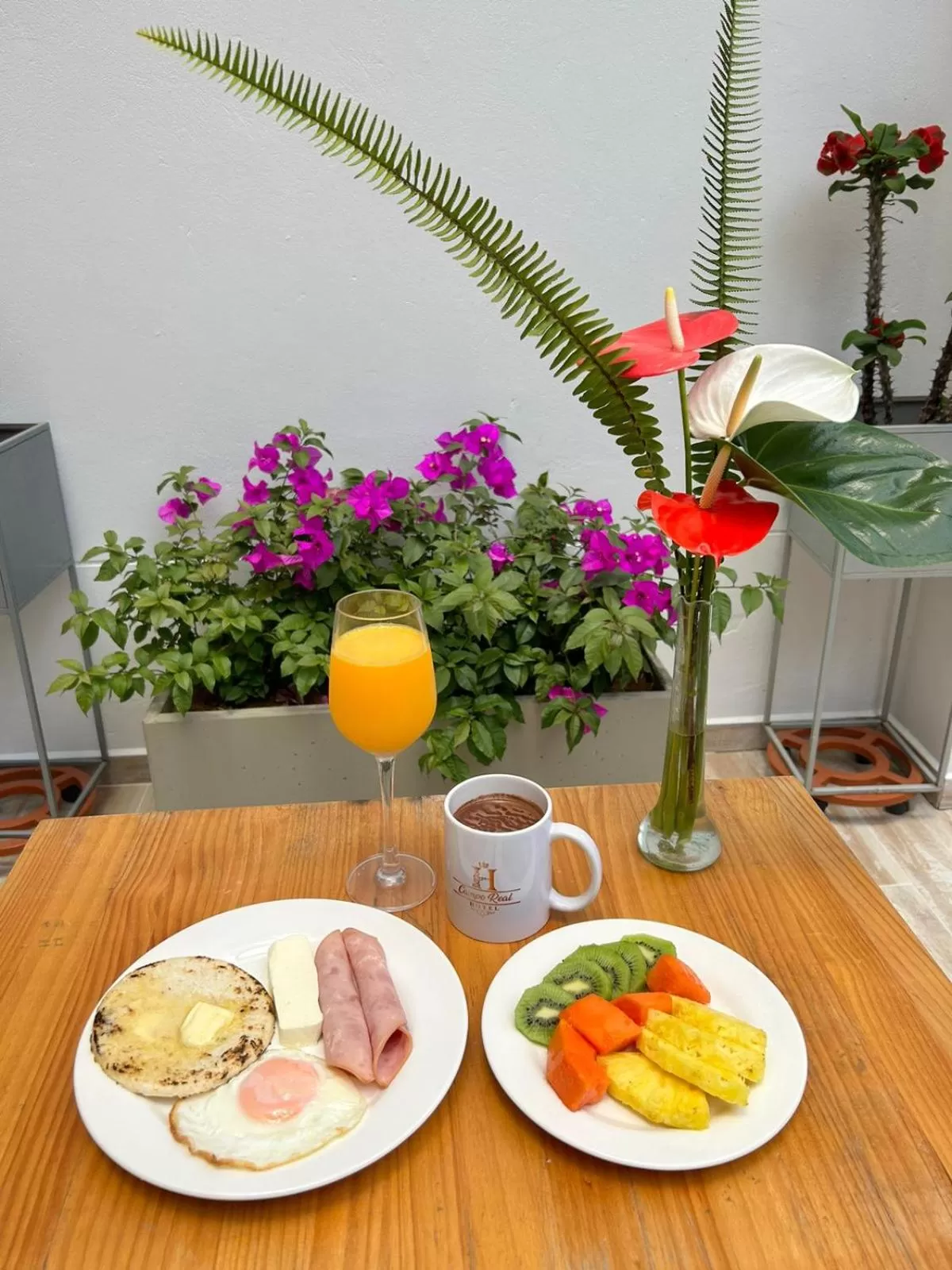 Standard Double Room in Hotel Campo Real