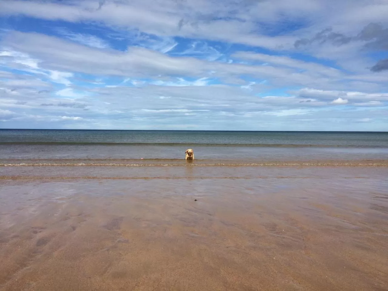 Natural landscape, Beach in No12 Bed and Breakfast, St Andrews