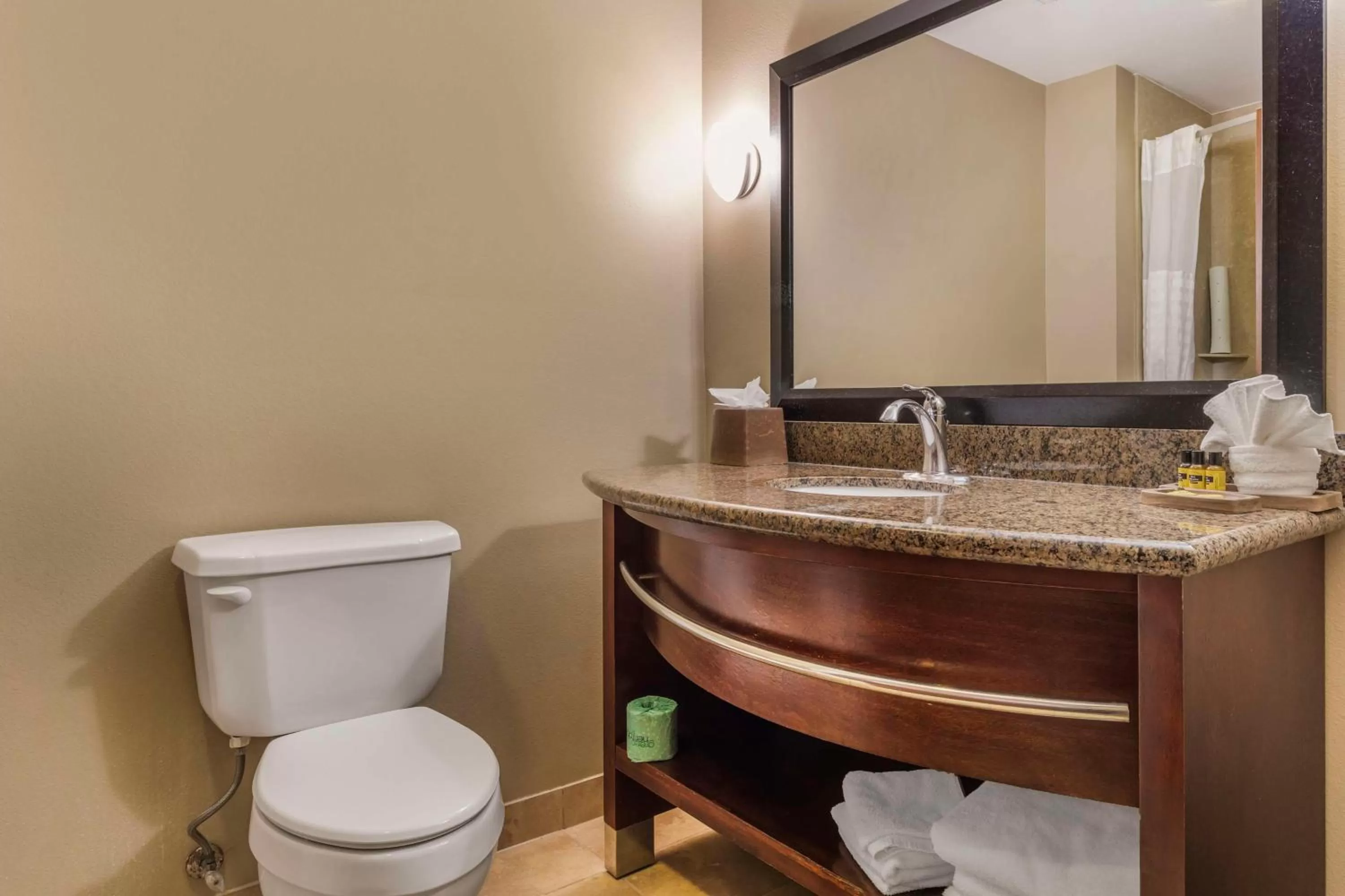 Bathroom in Best Western Plus Texoma Hotel & Suites