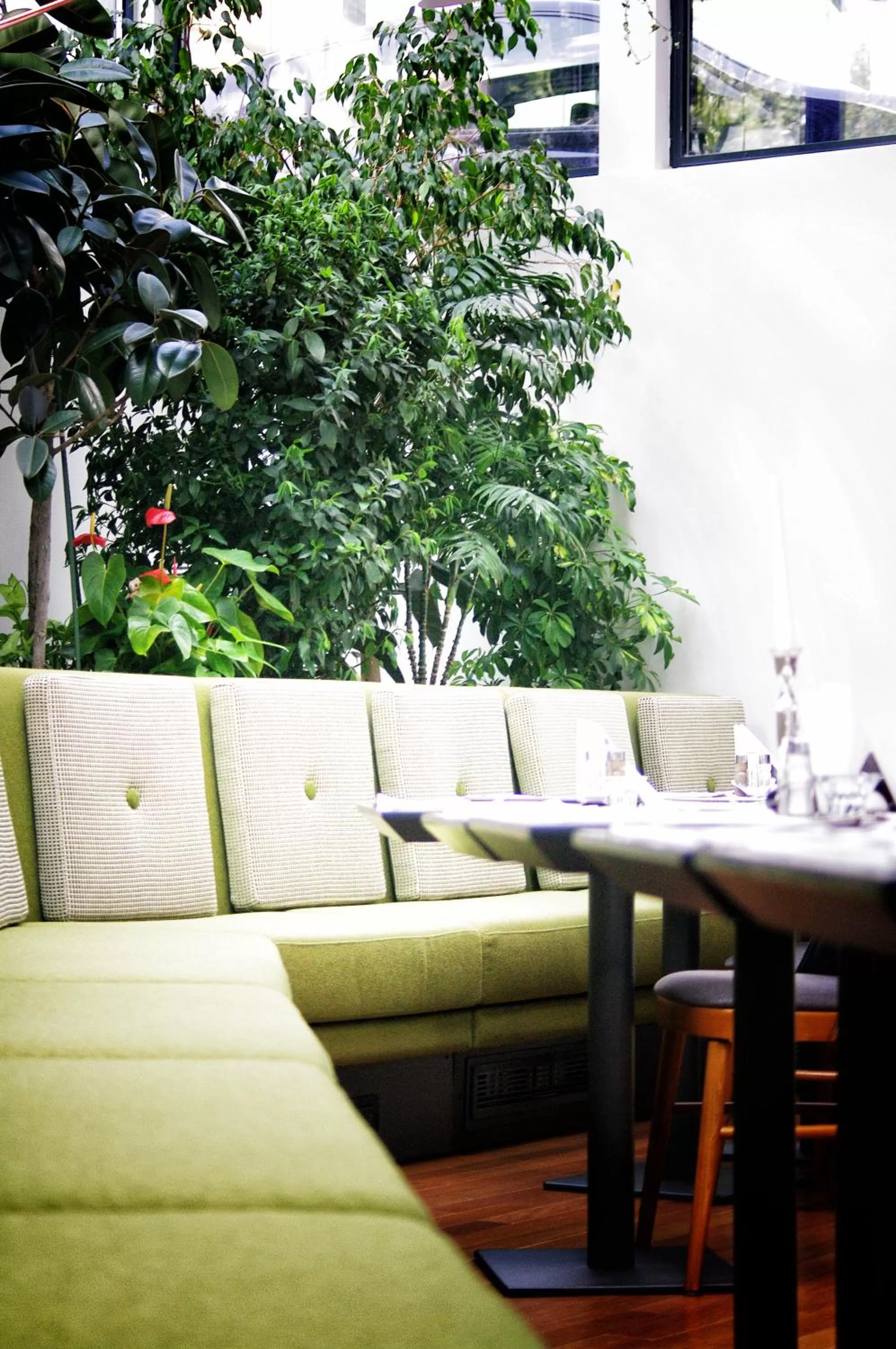 Restaurant/places to eat in Hotel Berthelot