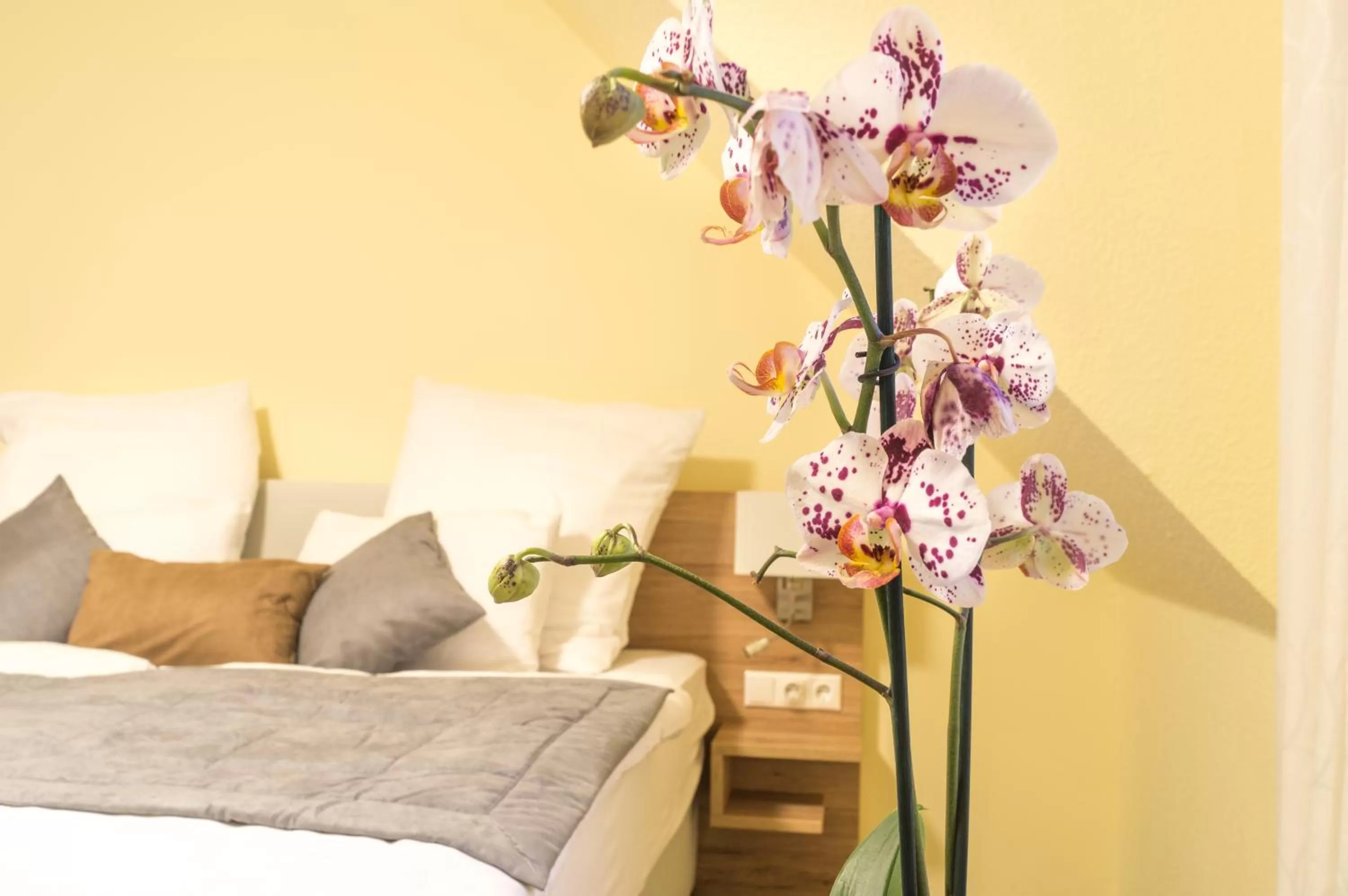 Bed in Hotel & Restaurant Sparta