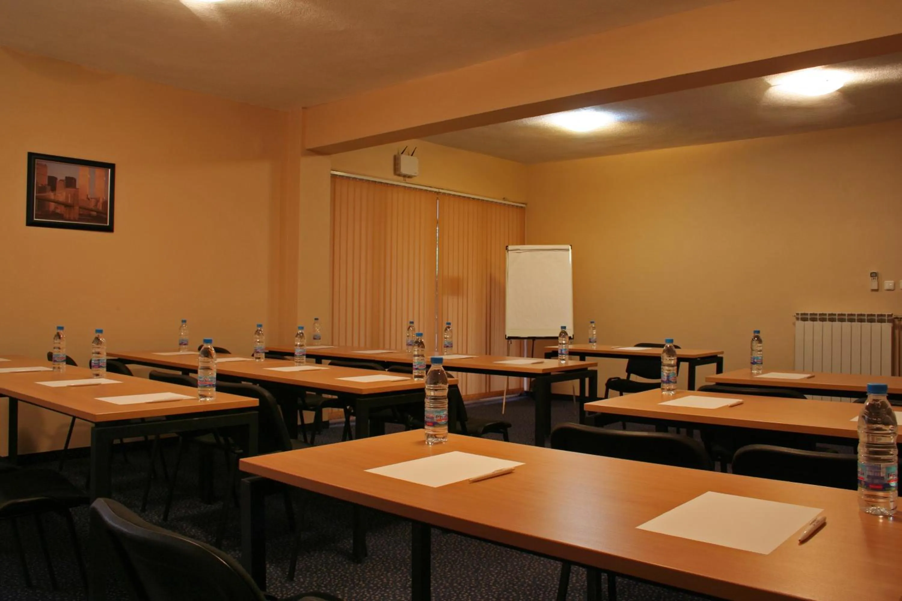 Business facilities in Hotel Brod - Free Parking