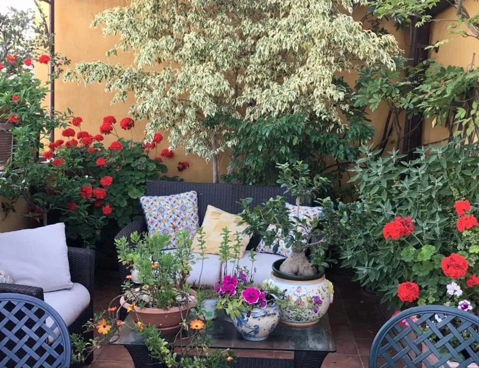 terrazze di montelusa