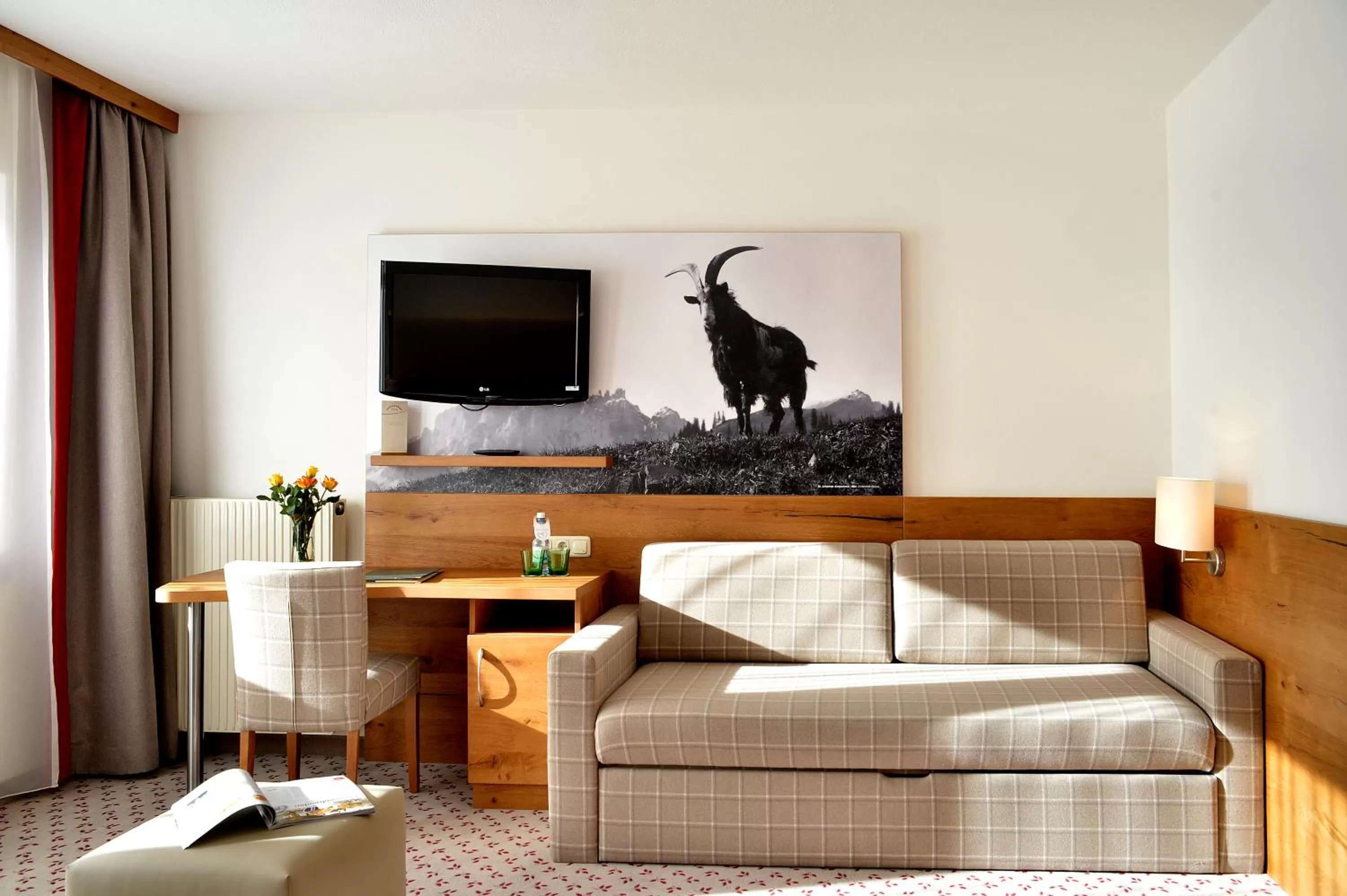 TV and multimedia in Hotel Brückenwirt