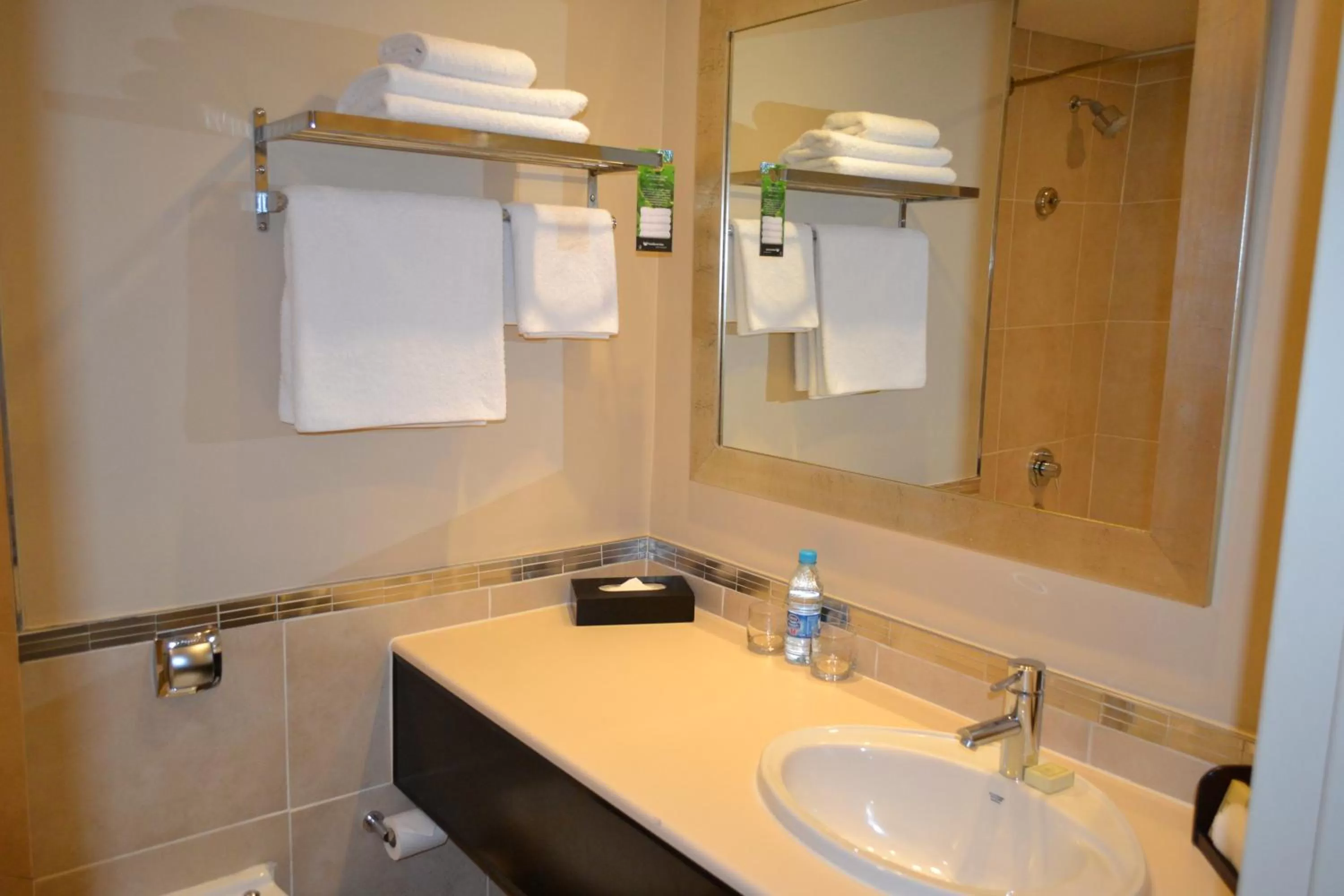 Bathroom in Southern Sun Pretoria