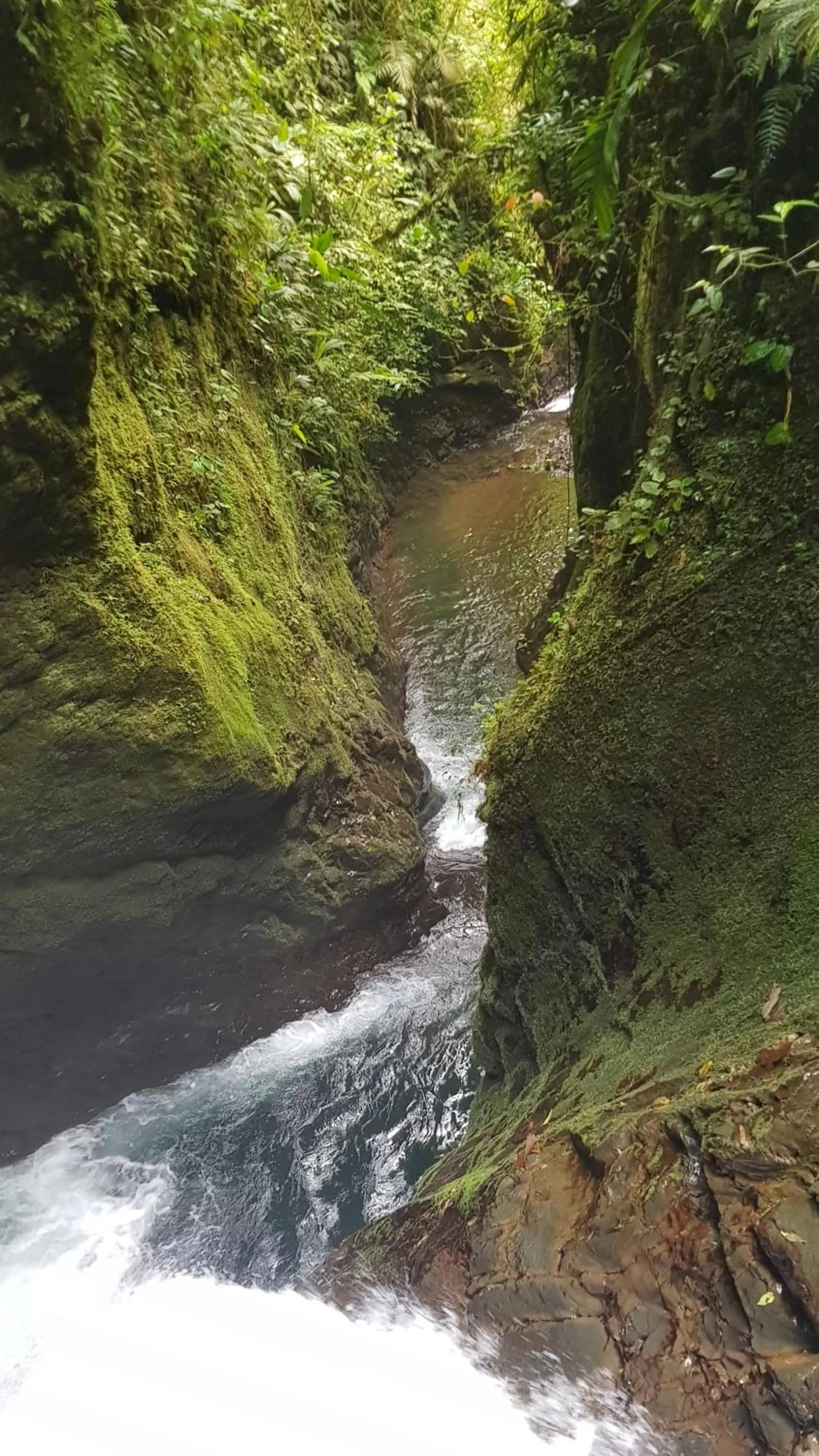 Natural Landscape in Hotel Rivel - Adventure & Nature Retreat