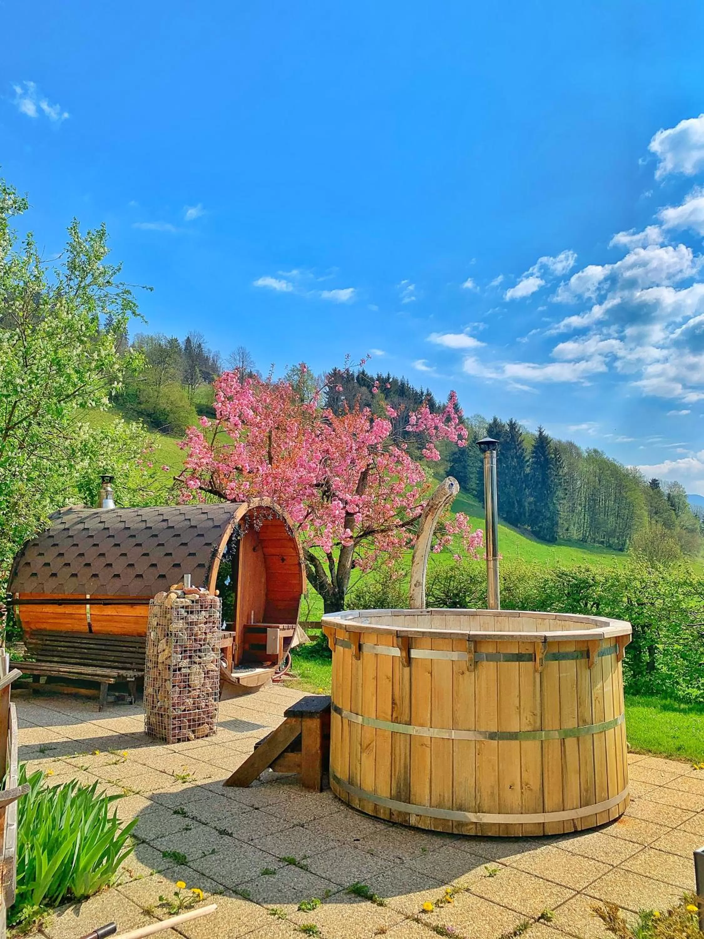 Spa and wellness centre/facilities in Hotel Garni Wieshof