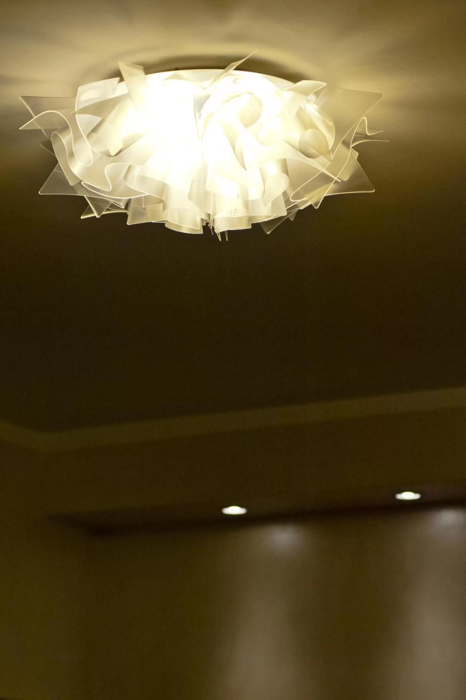 Decorative detail in Domus Fontis