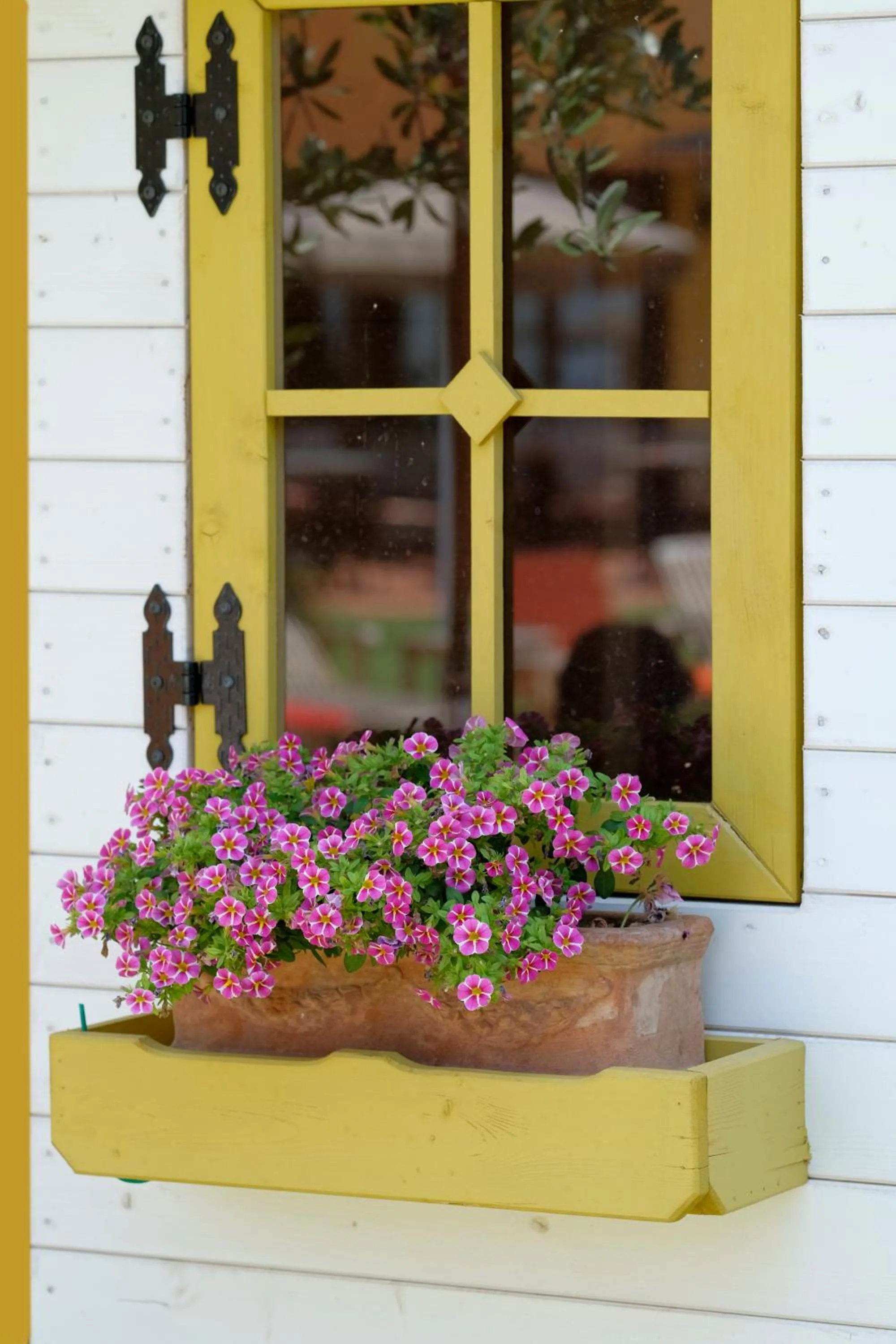 Garden in Villa Madrina Lovely and Dynamic Hotel