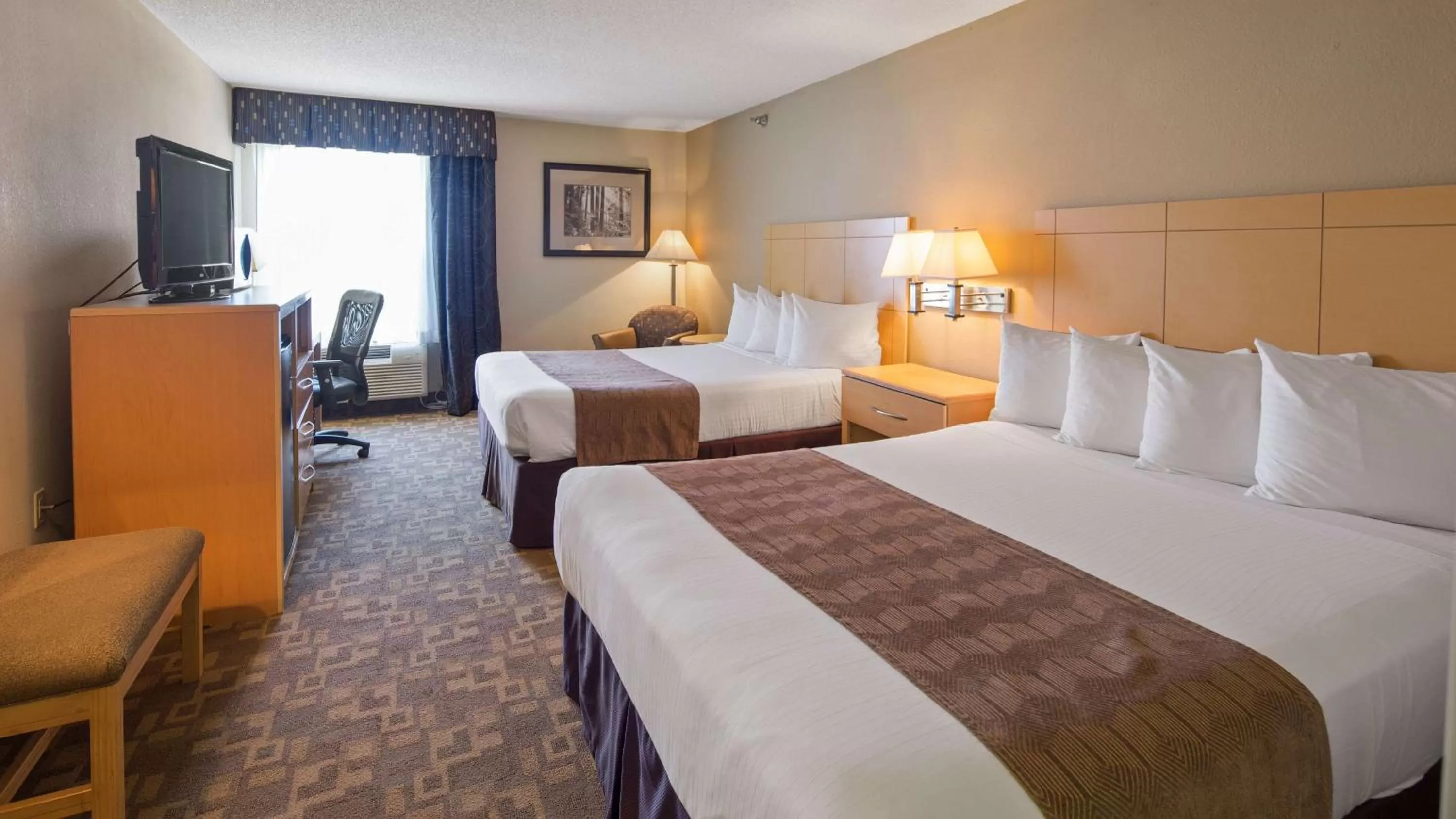 Photo of the whole room, Bed in SureStay Plus Hotel by Best Western Roanoke Rapids I-95