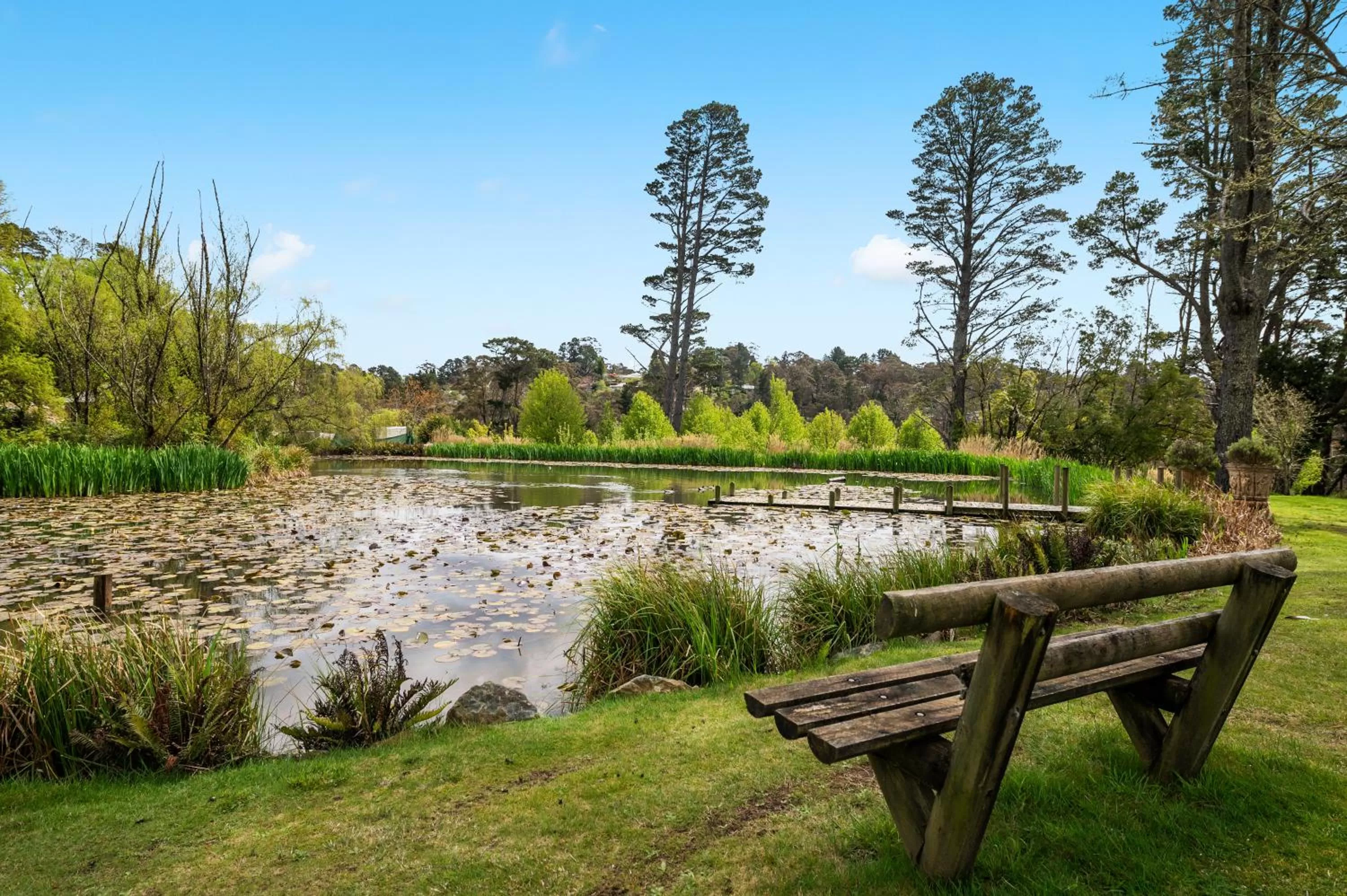 Natural landscape in Parklands Country Gardens & Lodges Blue Mountains