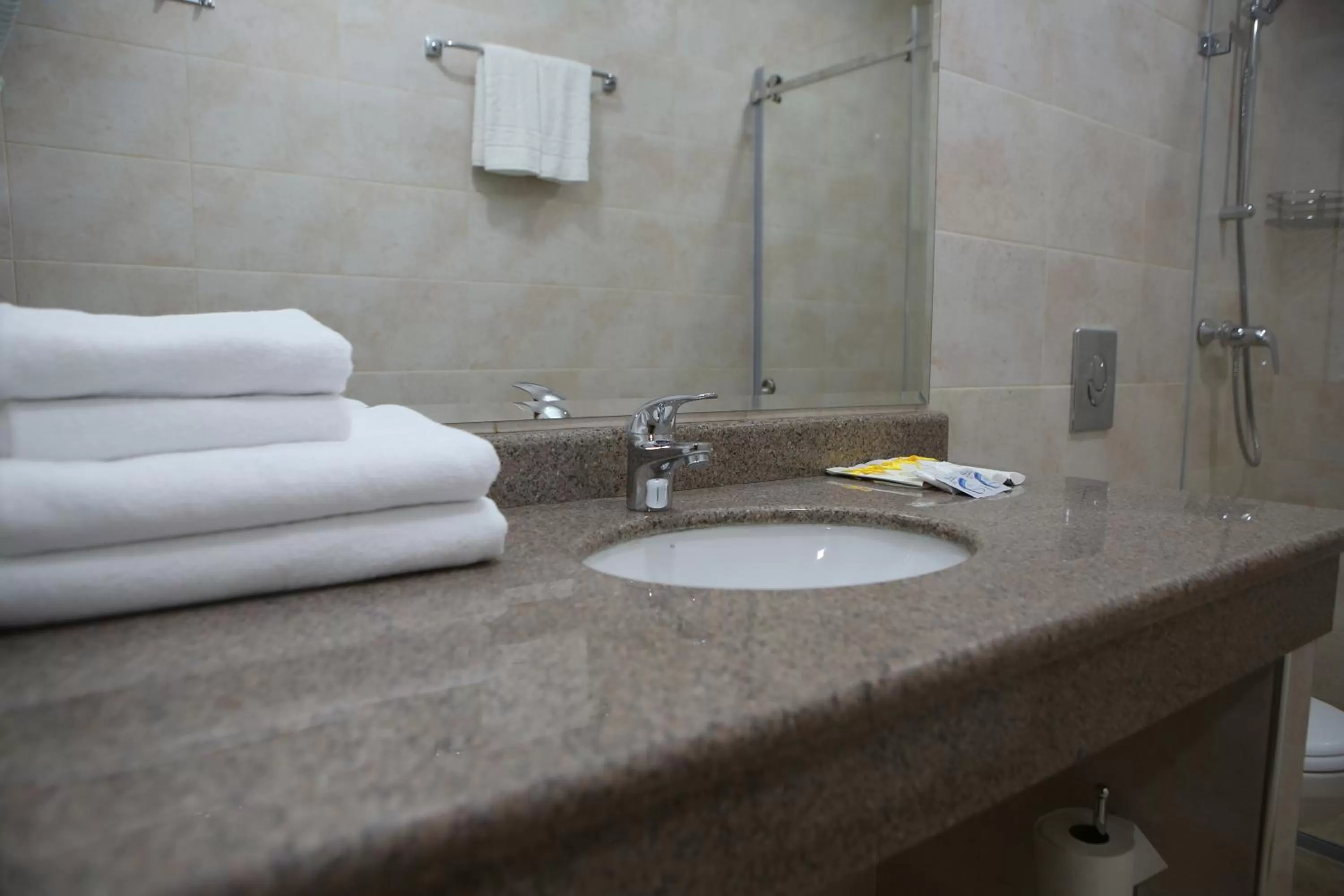 Toilet in Hotel Aner