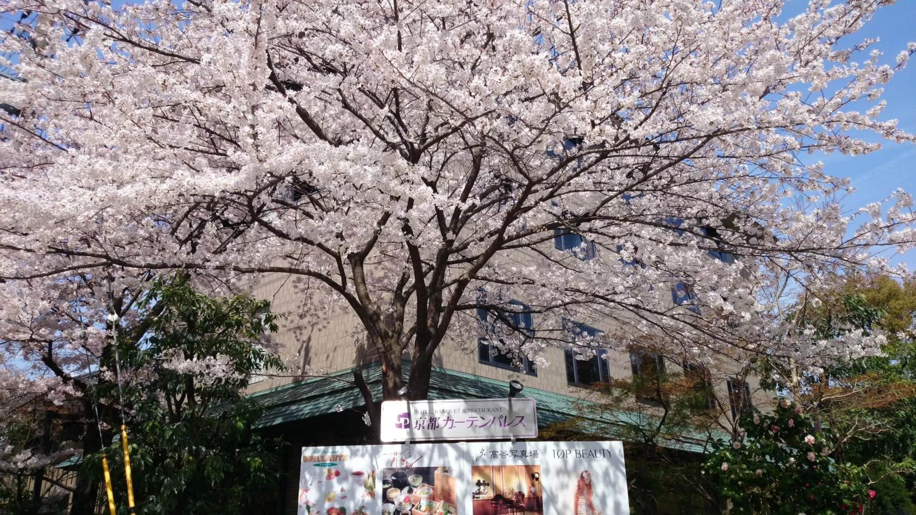 Facade/entrance in Kyoto Garden Palace