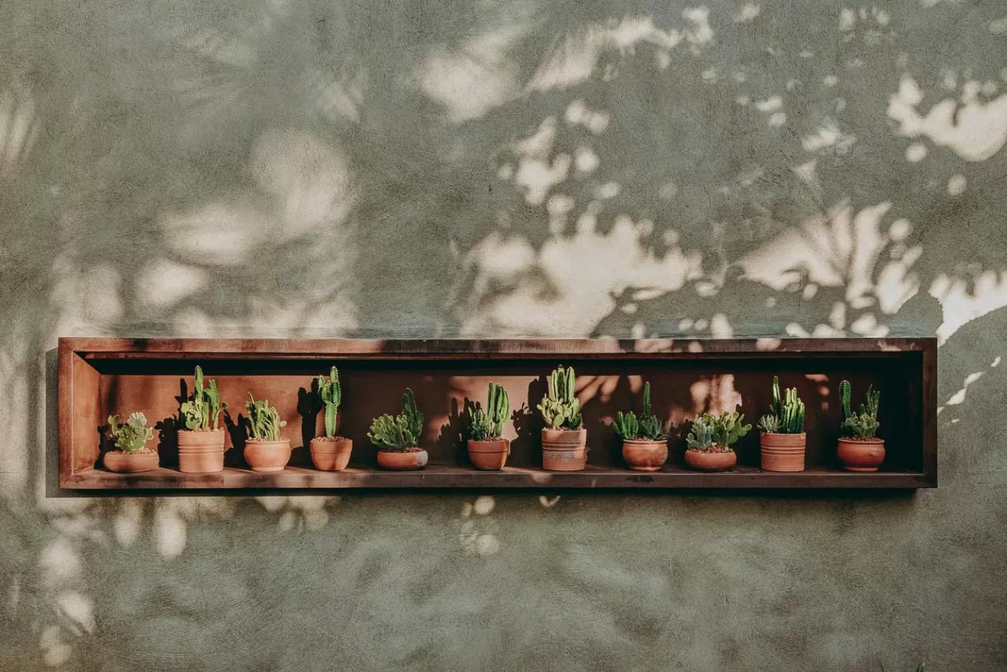 Barracuda Hotel & Villas