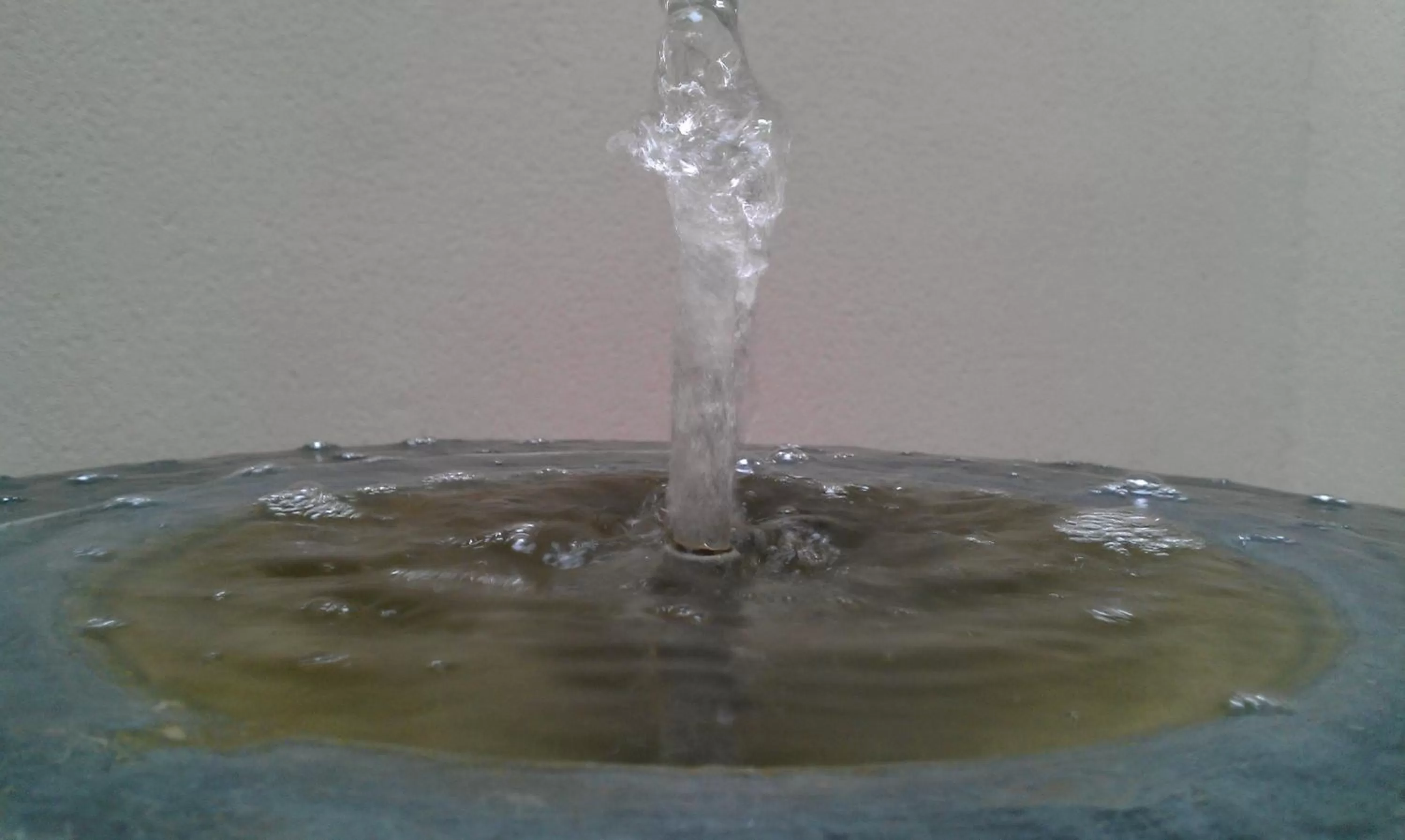 View (from property/room) in Hotel Ecologico Toral