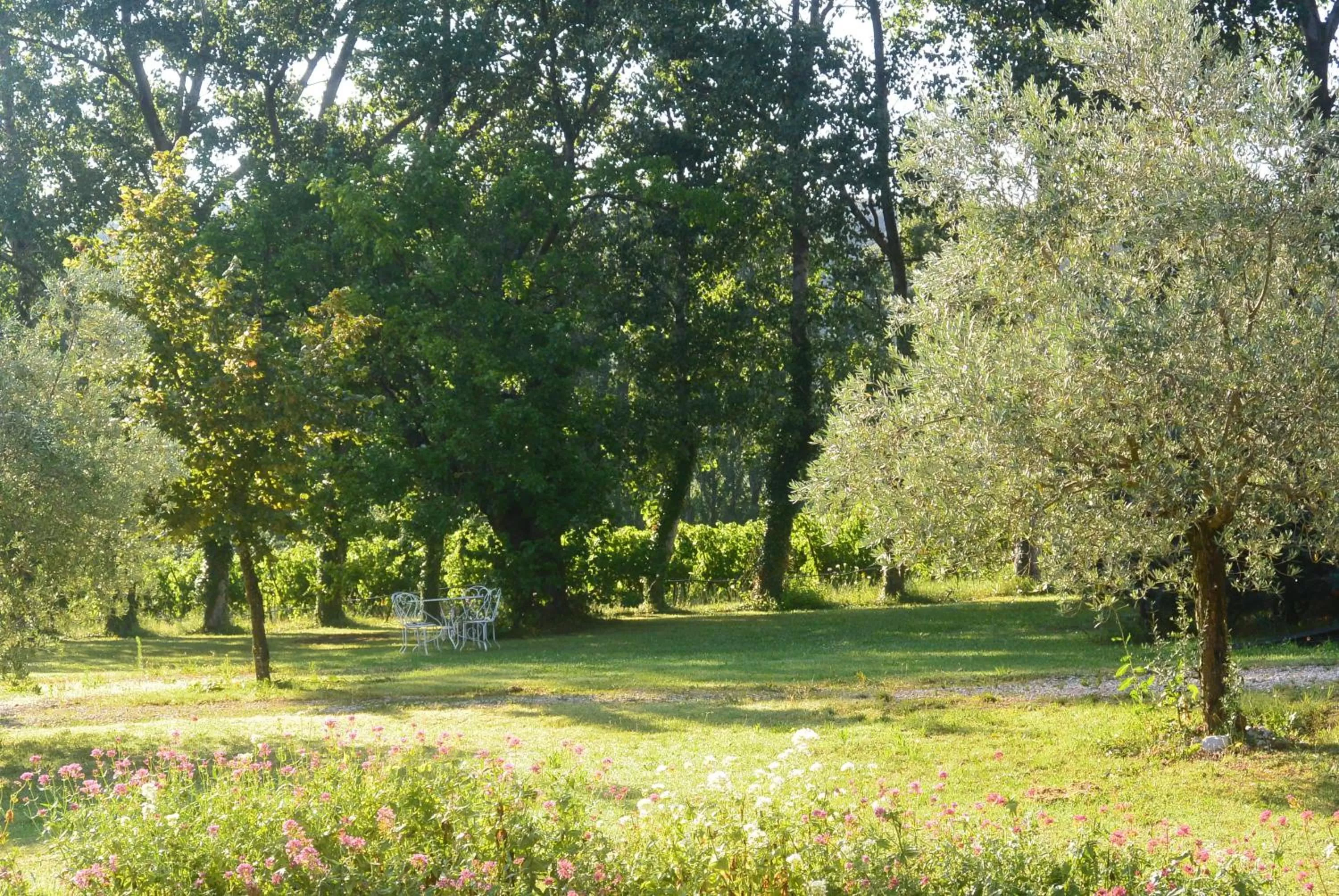 Garden in Chambres d'Hôtes Aux Tournesols