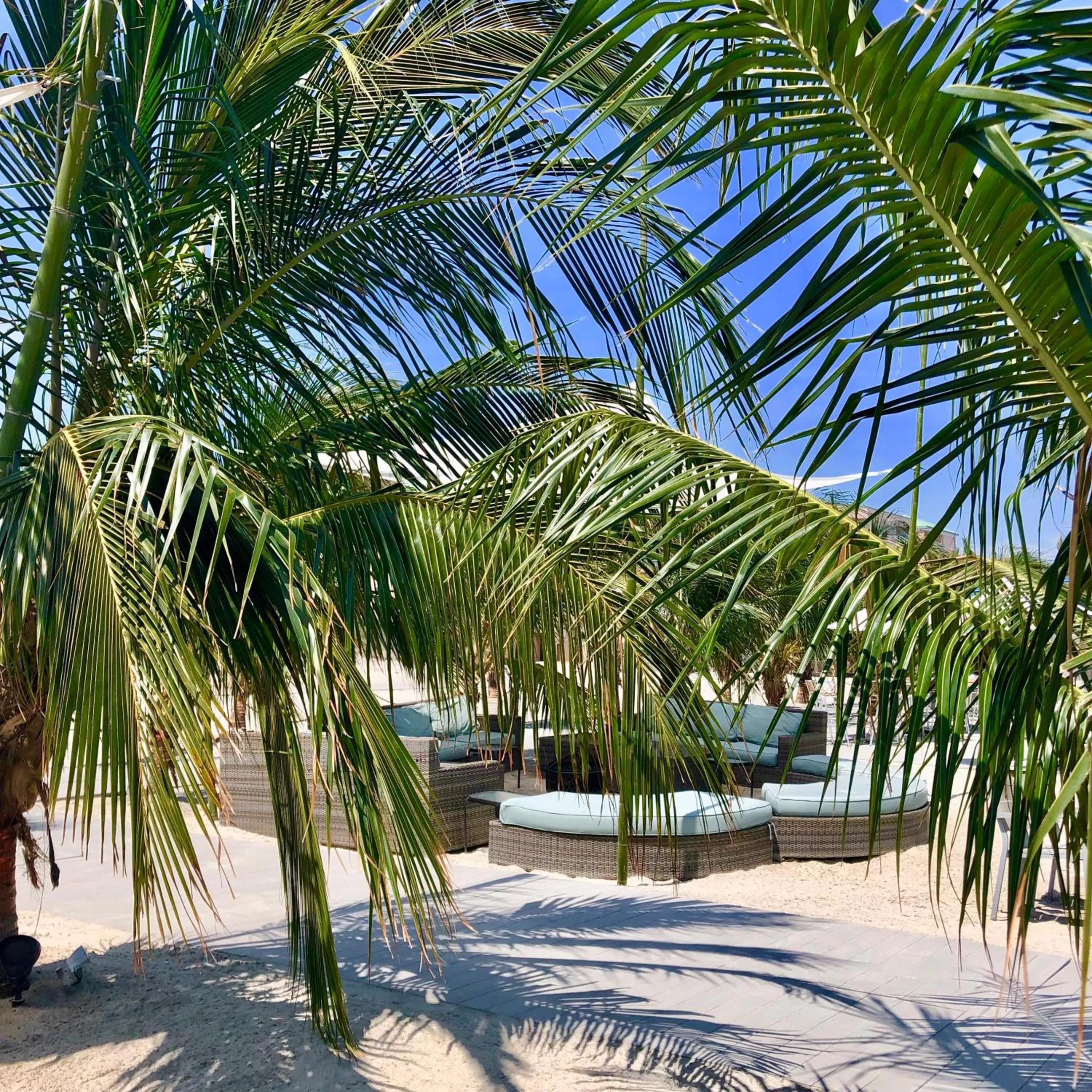 Beach in ICONA Diamond Beach