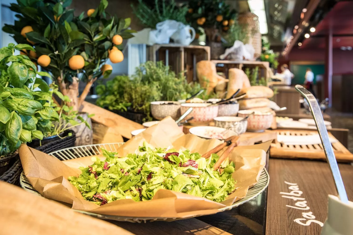 Food close-up in aja Grömitz