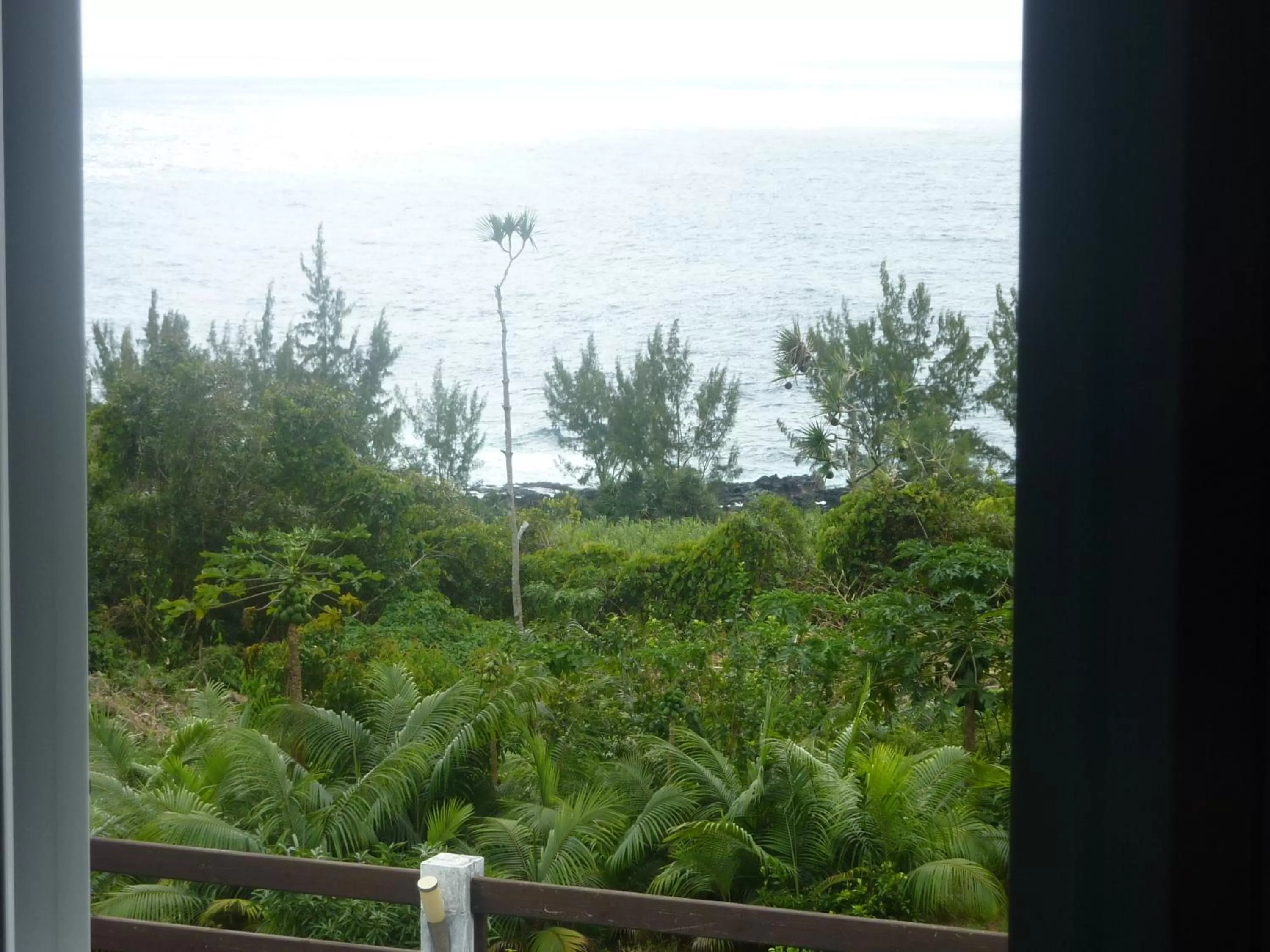 Sea View in La Pointe au Corail