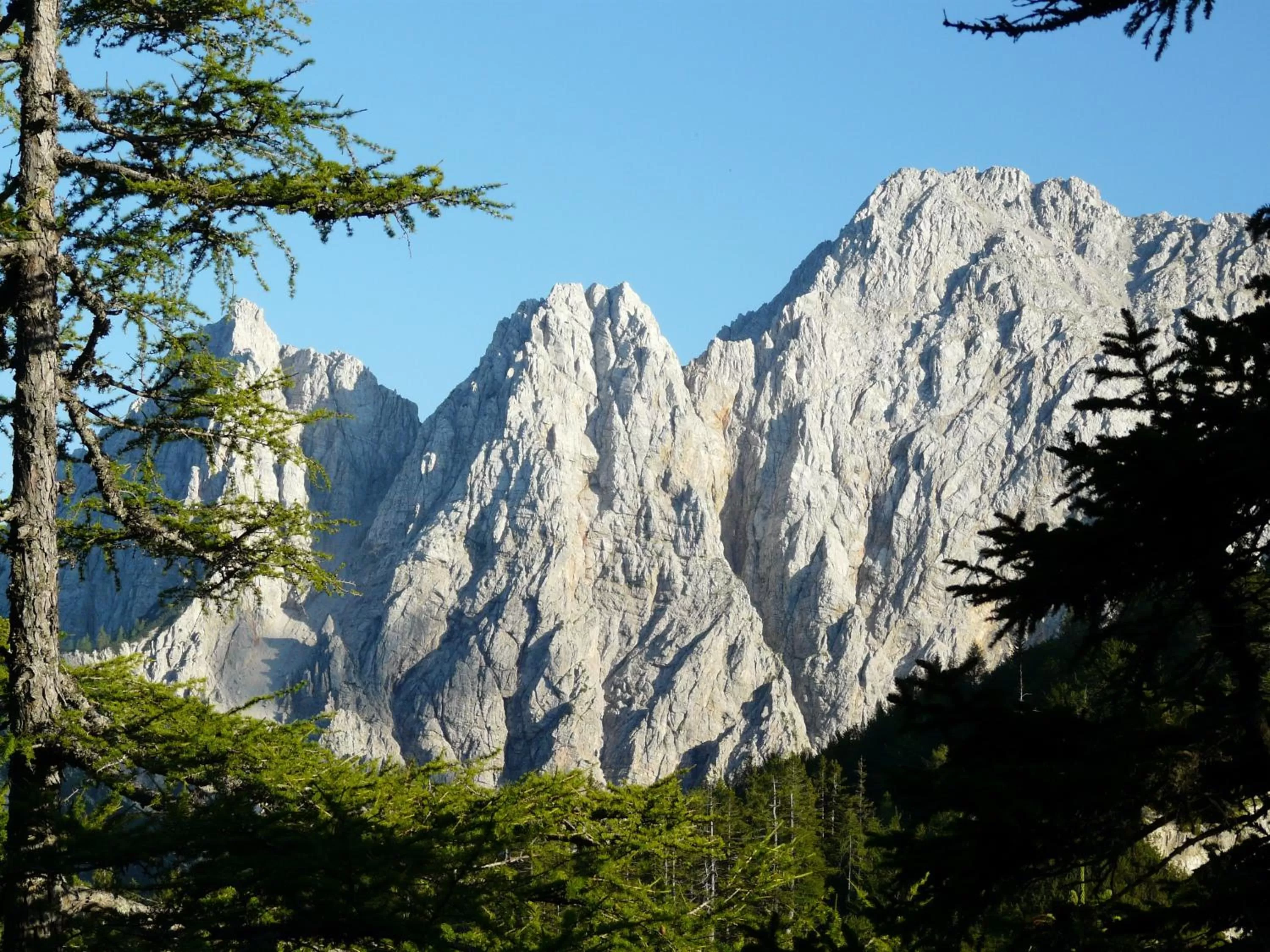Natural landscape in Bed&Breakfast Lausegger