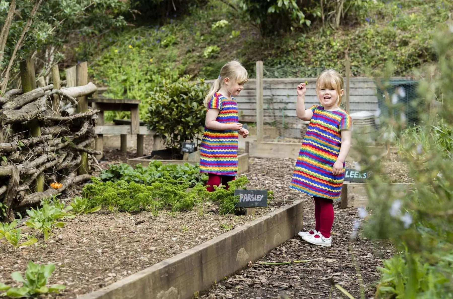 Garden in Trenython Manor Resort