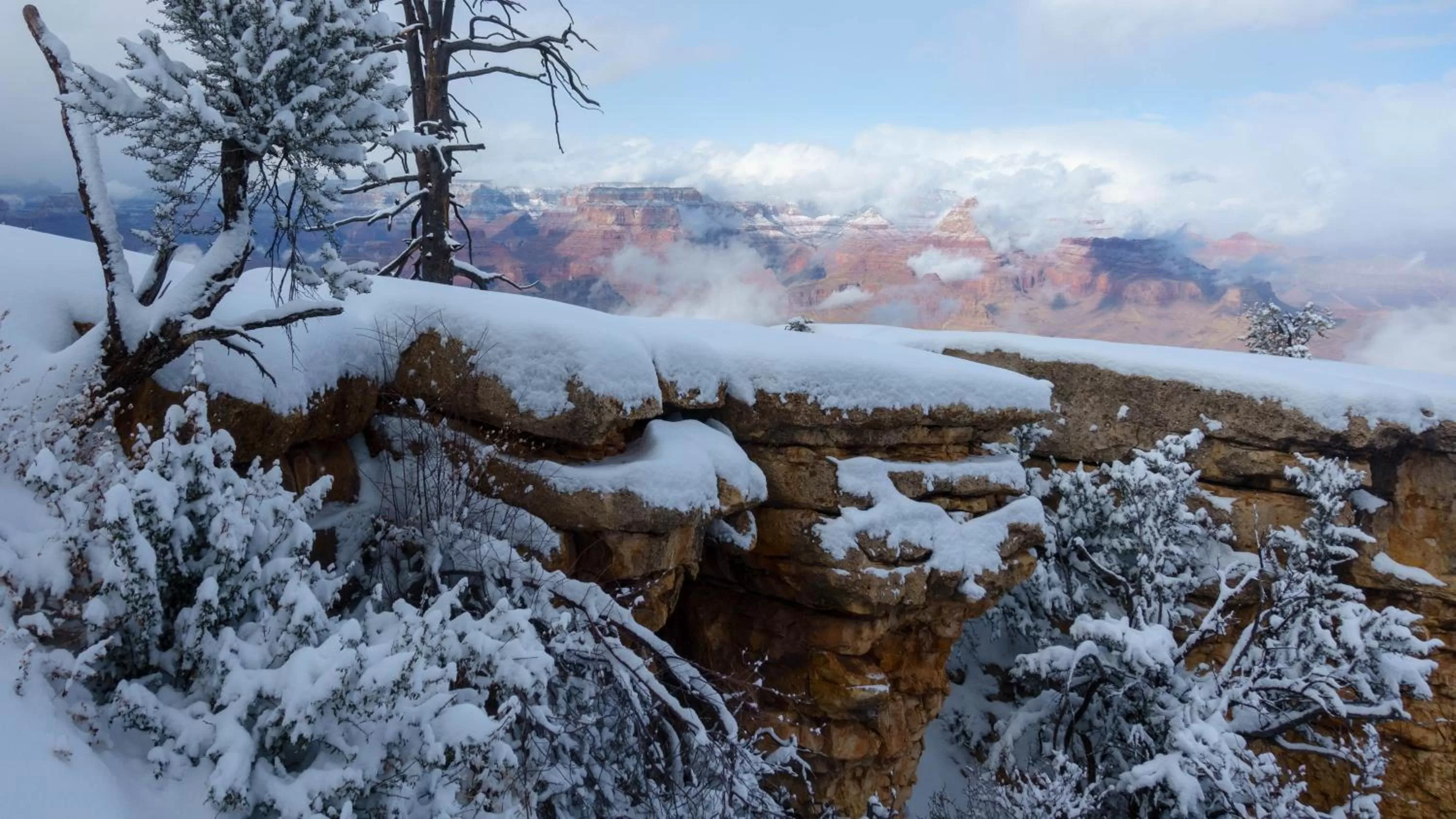 Nearby landmark in Grand Canyon Plaza Hotel-South Rim