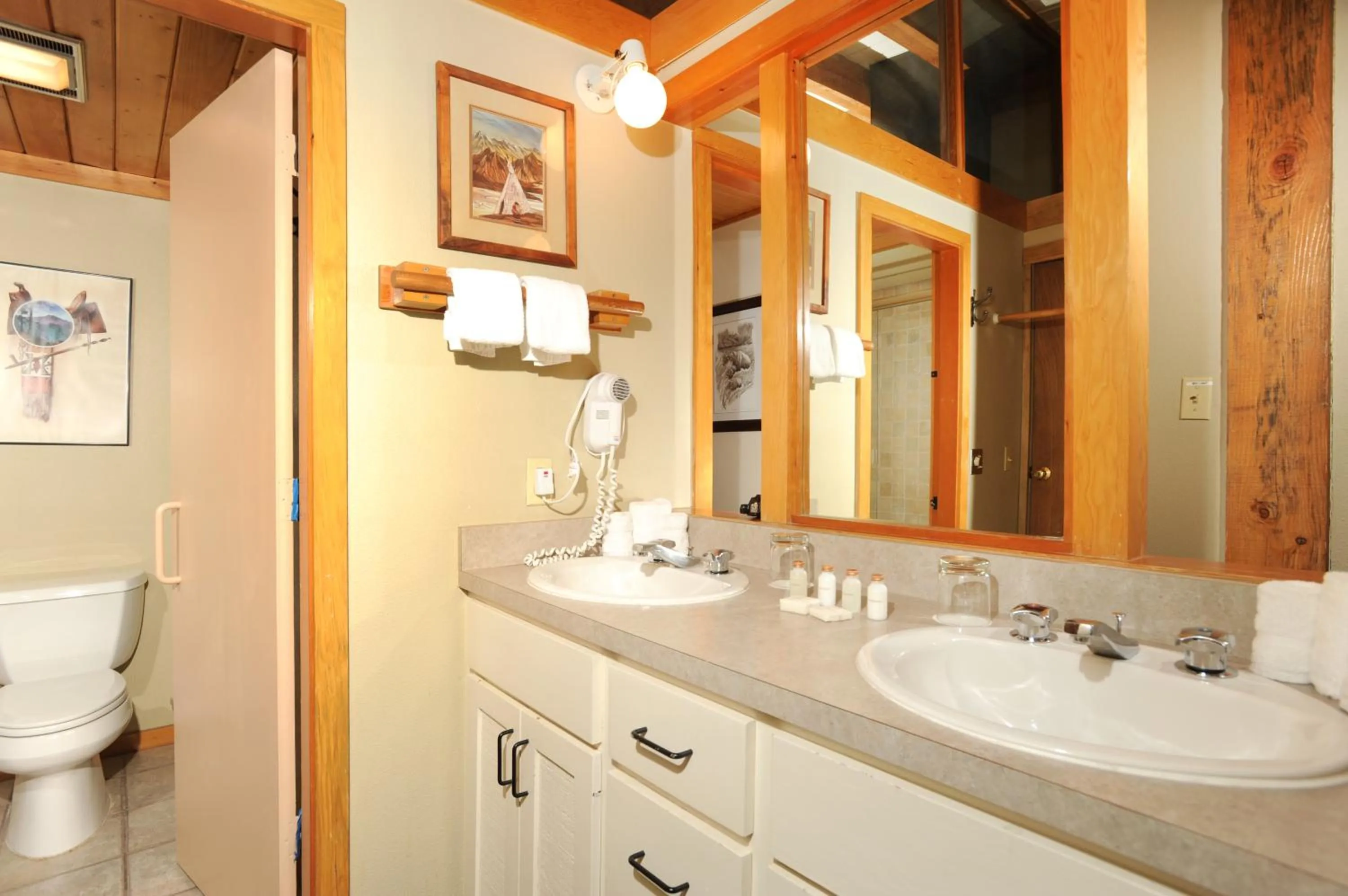 Toilet in Evergreen Condominiums by Keystone Resort