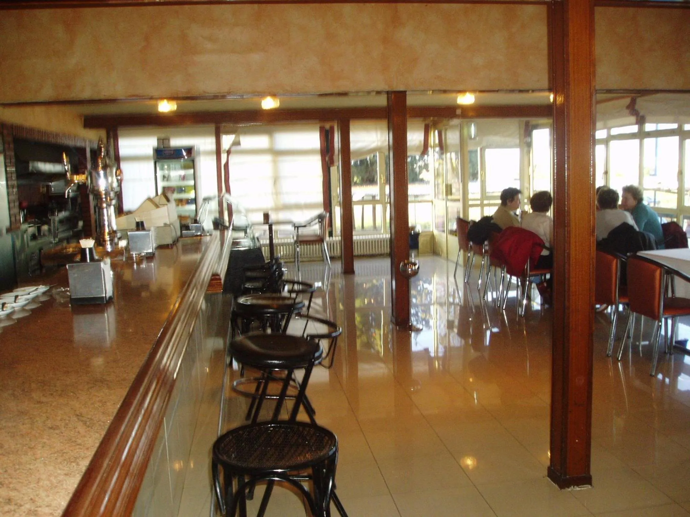 Lounge or bar in Hotel Manzanares