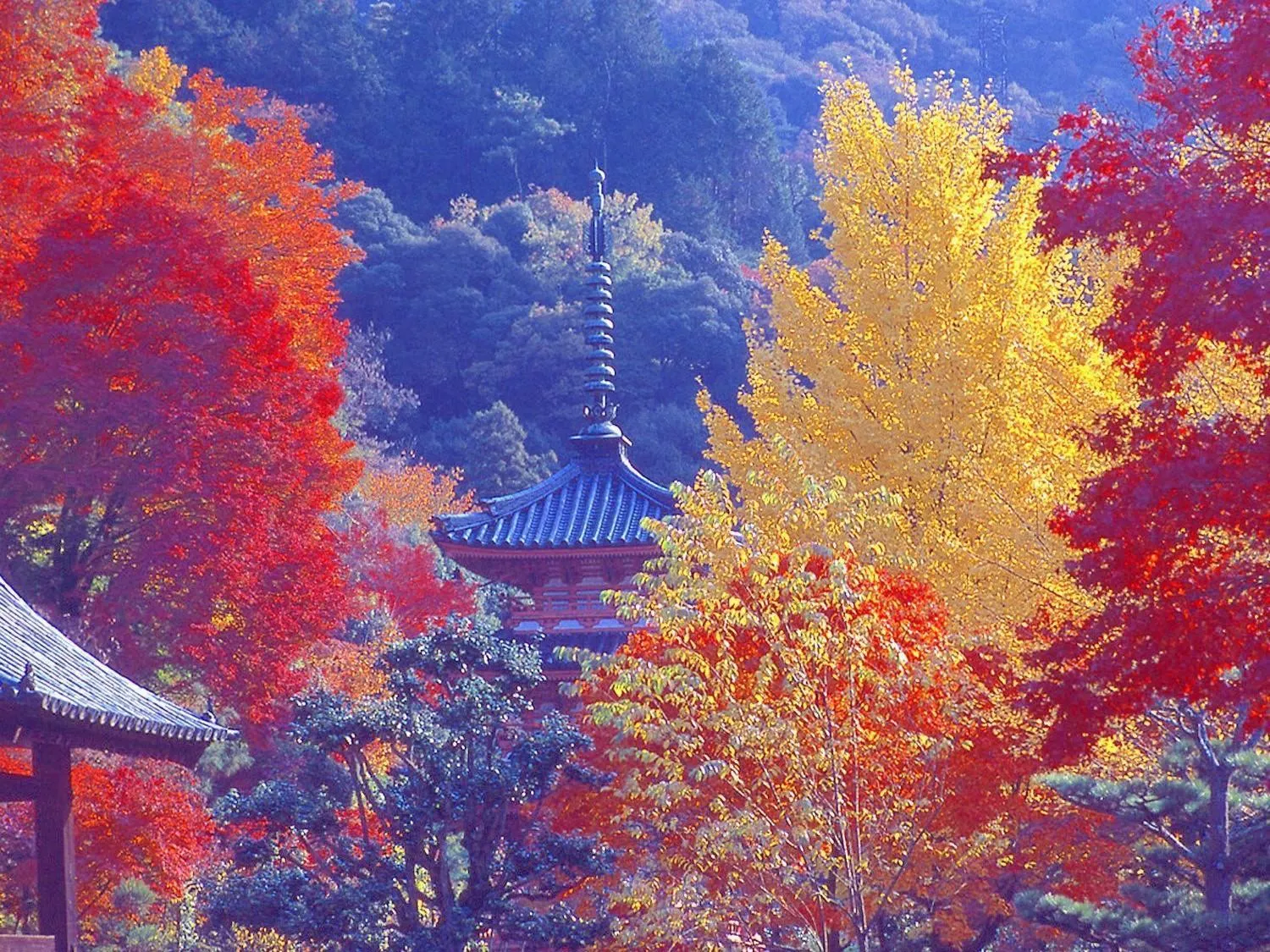 Off site in Hanayashiki Ukifune-en