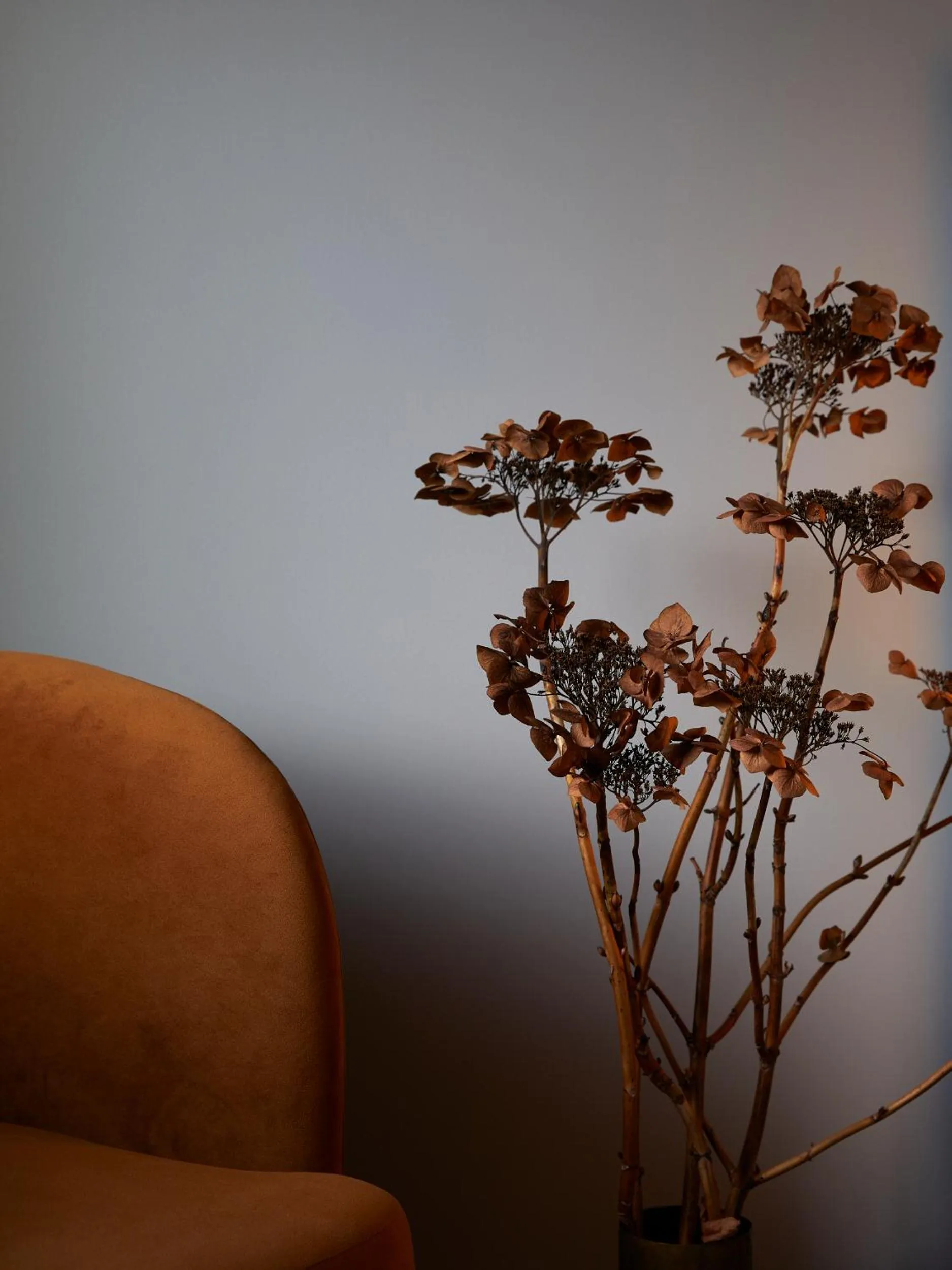 Seating area in The Dairy Hotel Queenstown, A Naumi Chapter