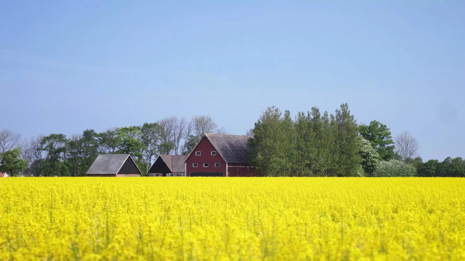Natural landscape in Vikens bed and Breakfast