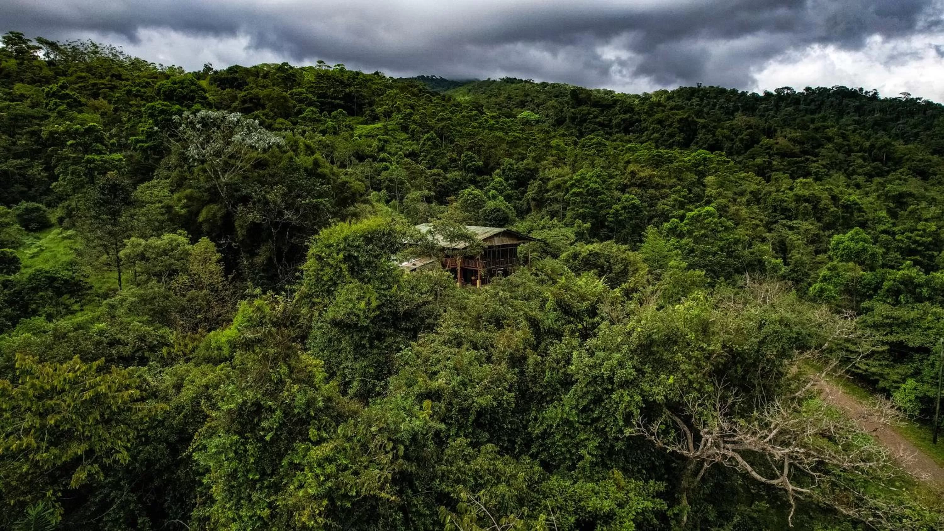 Birds & Breakfast Costa Rica