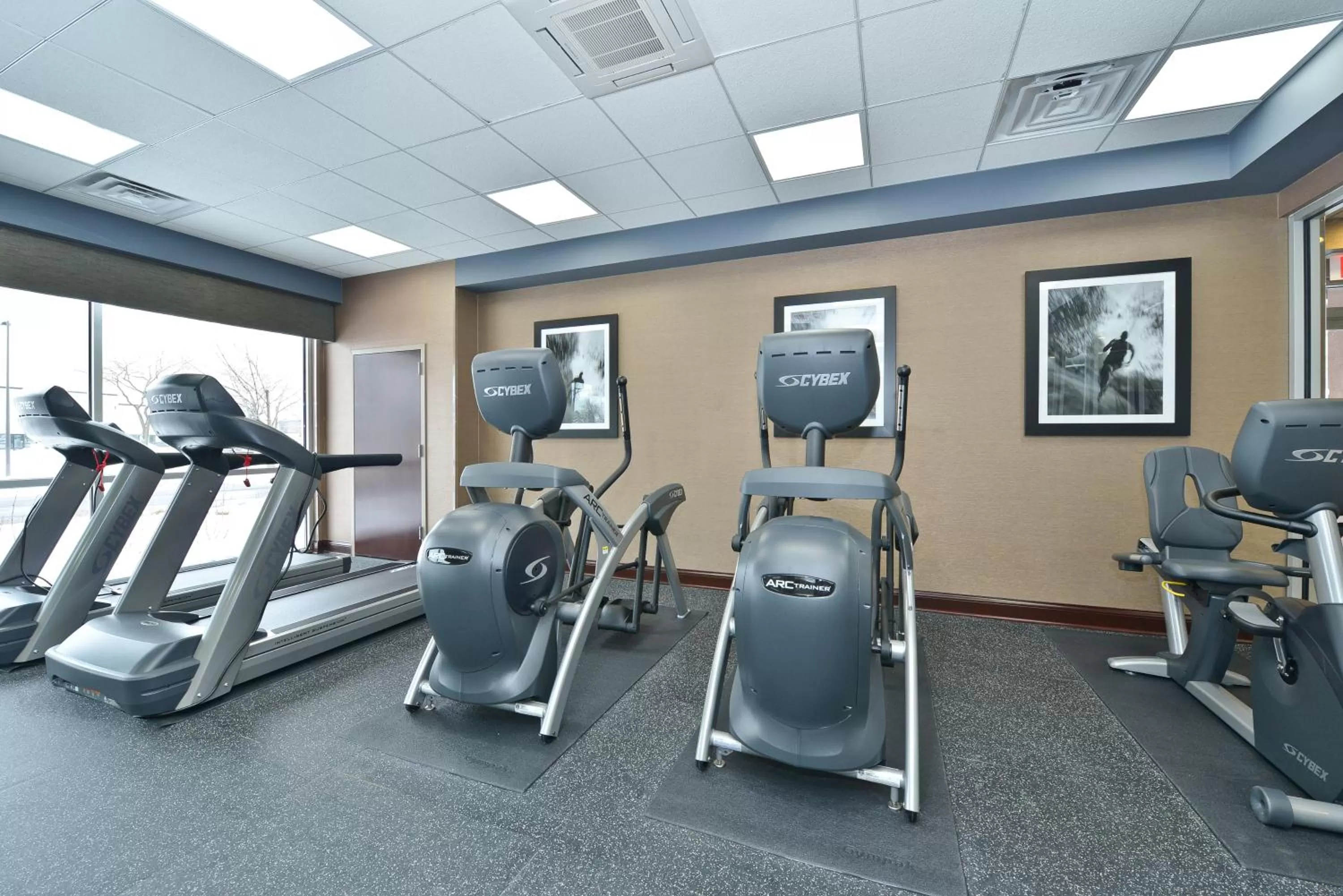 Fitness centre/facilities in Wyndham Garden Elk Grove Village - O'Hare