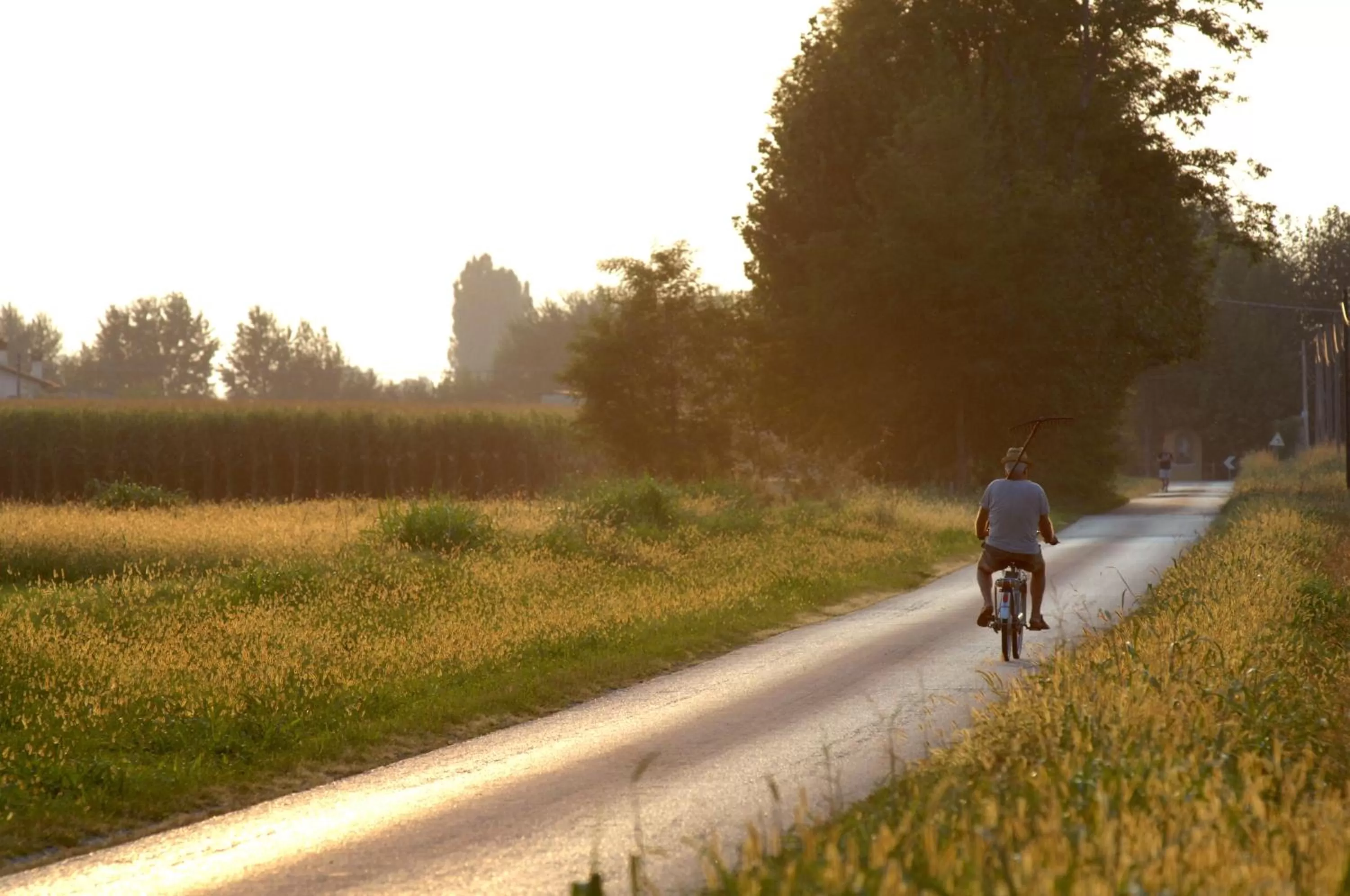 View (from property/room) in Hotel Scaldaferro