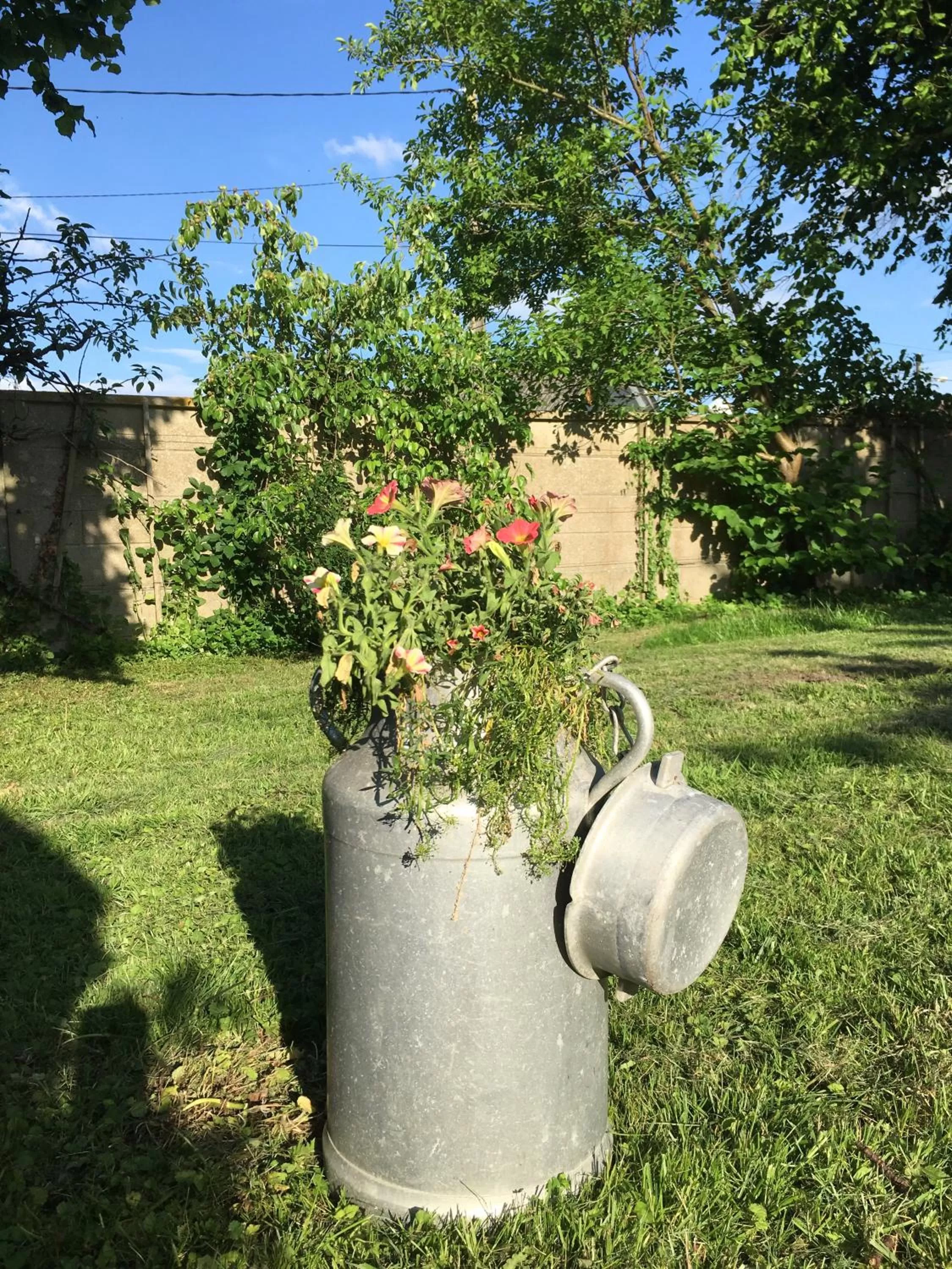 Garden in La Romance et la Romanesque