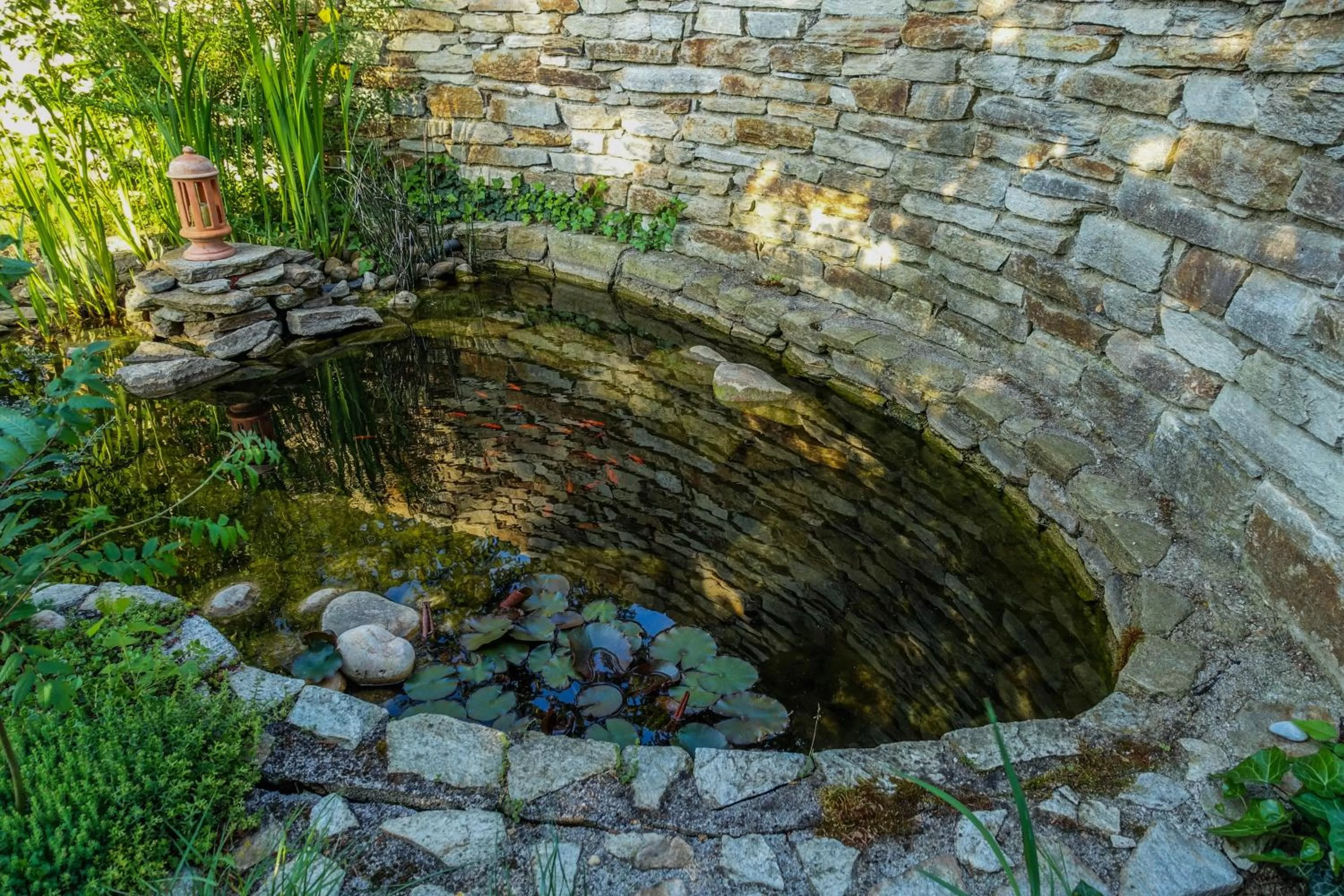 Garden in Gästehaus Pointner