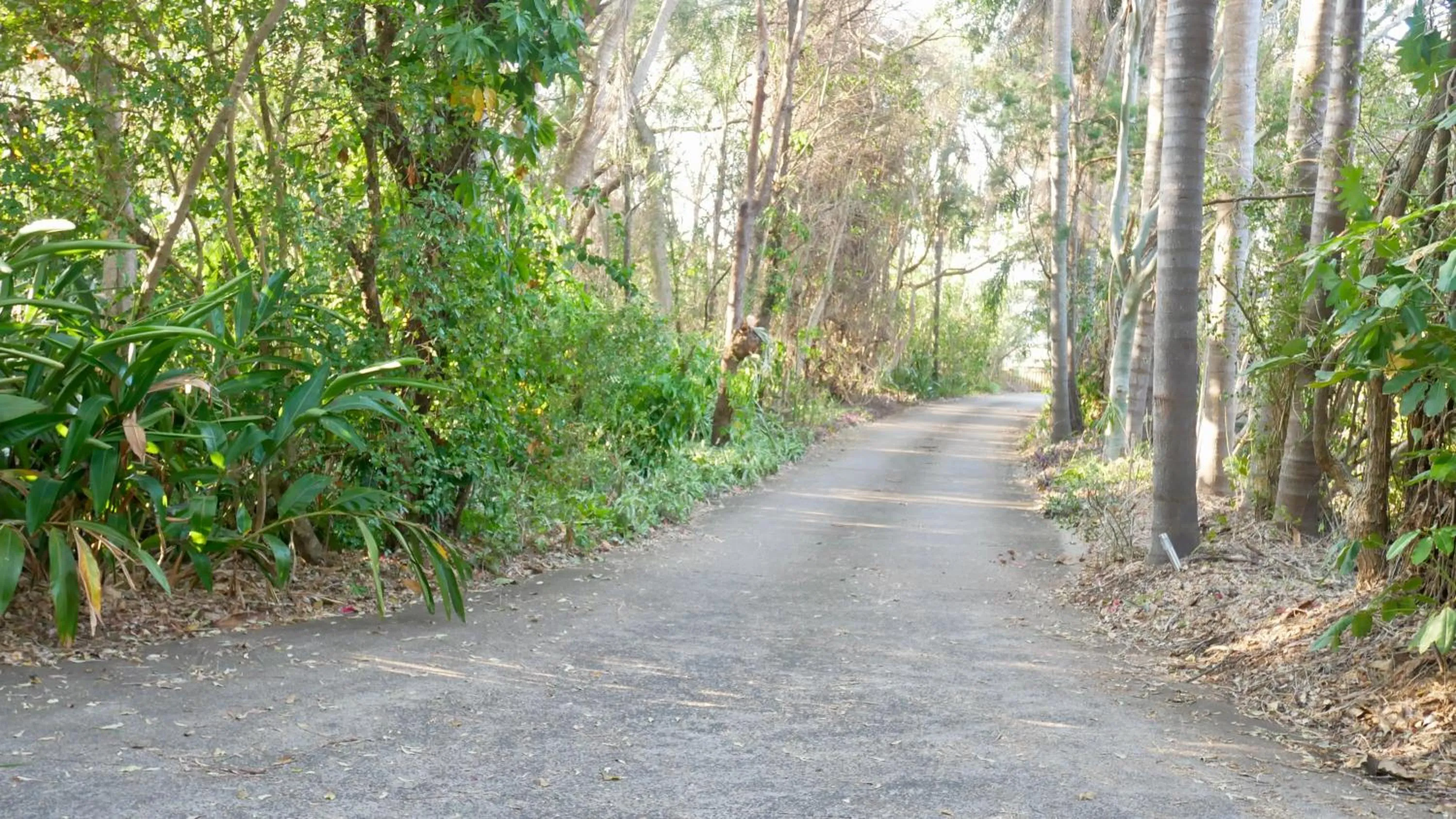Emeraldene Inn & Eco-Lodge
