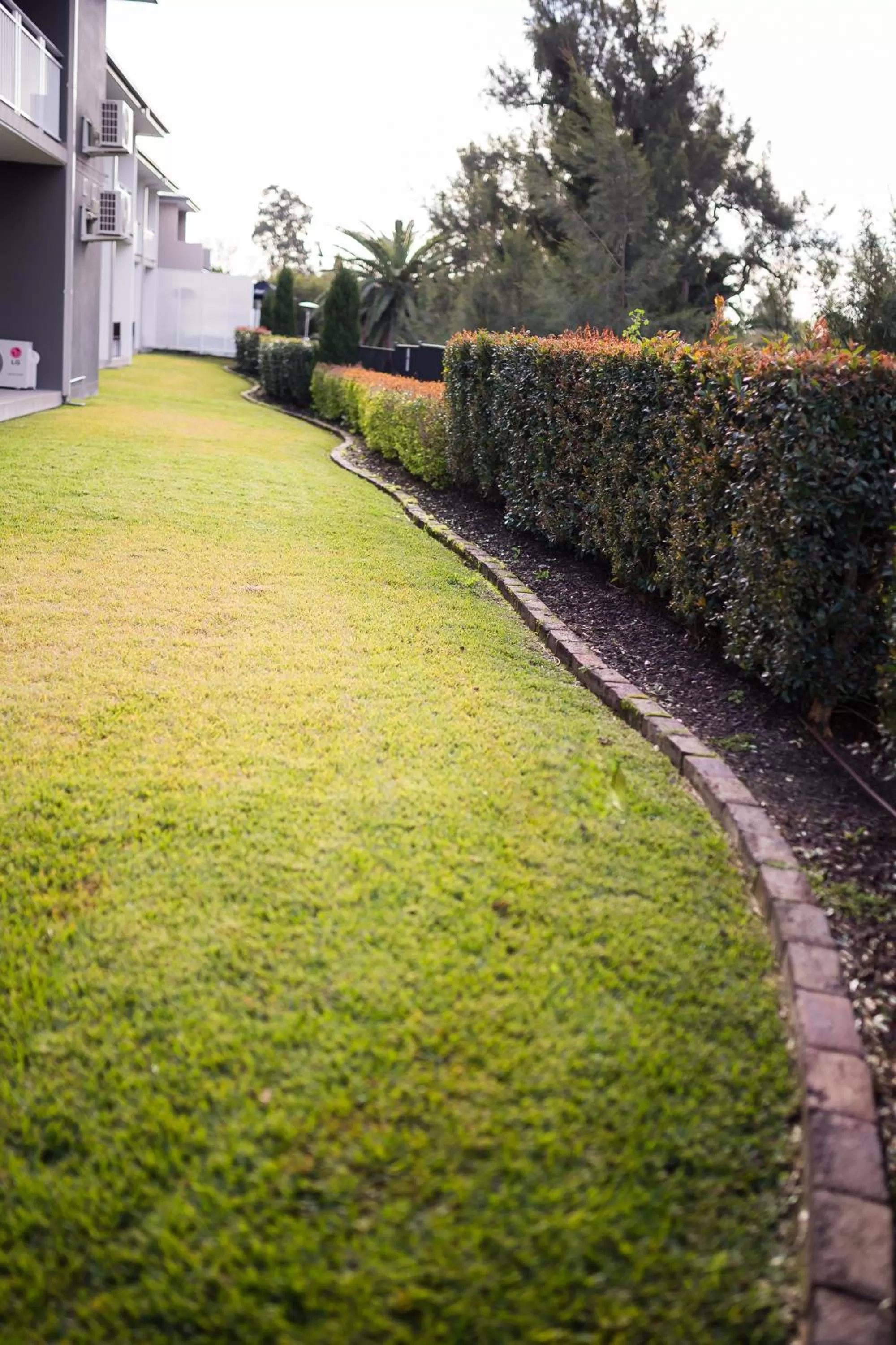 Garden in The Remington Muswellbrook