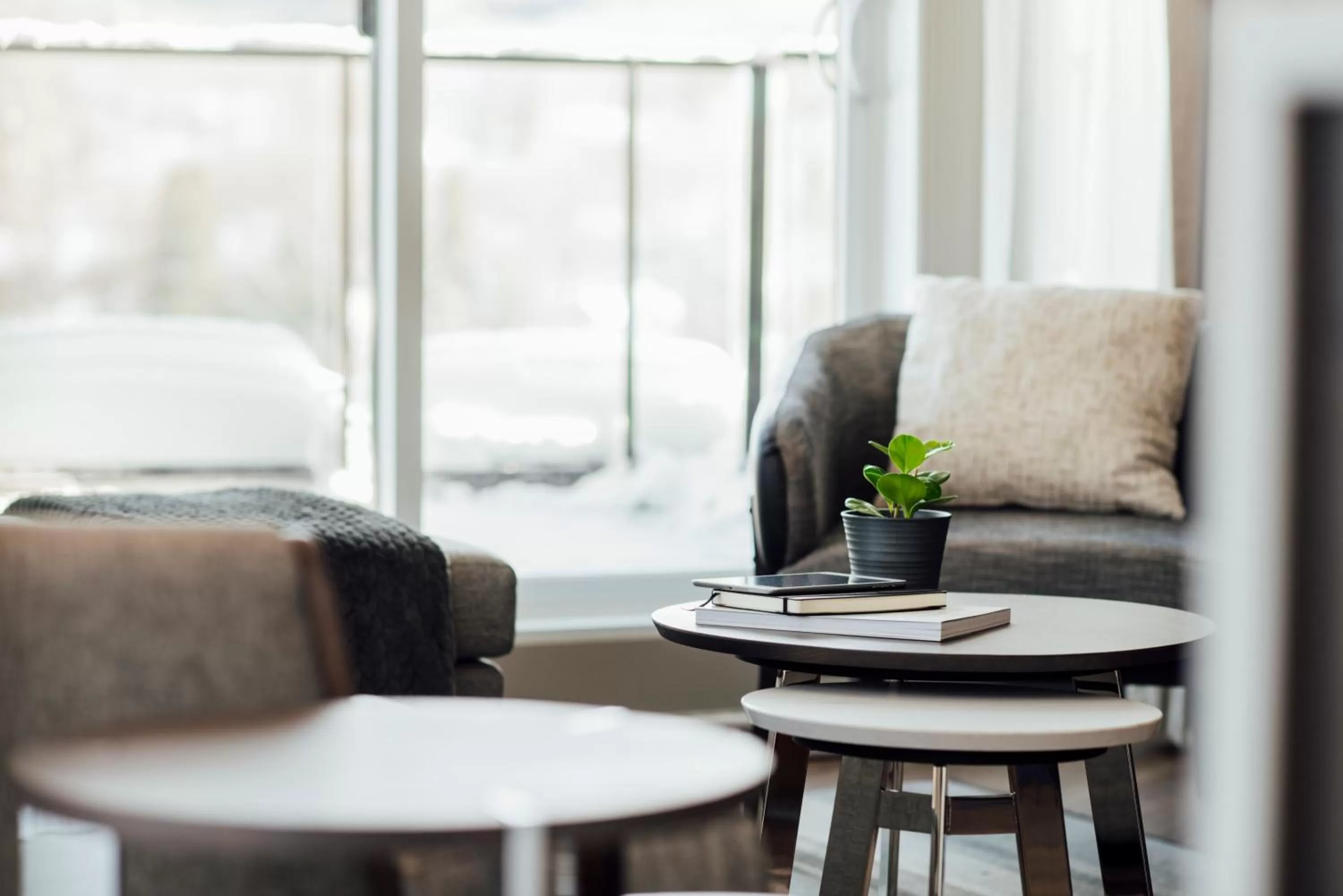 Living room in Entourage sur-le-Lac