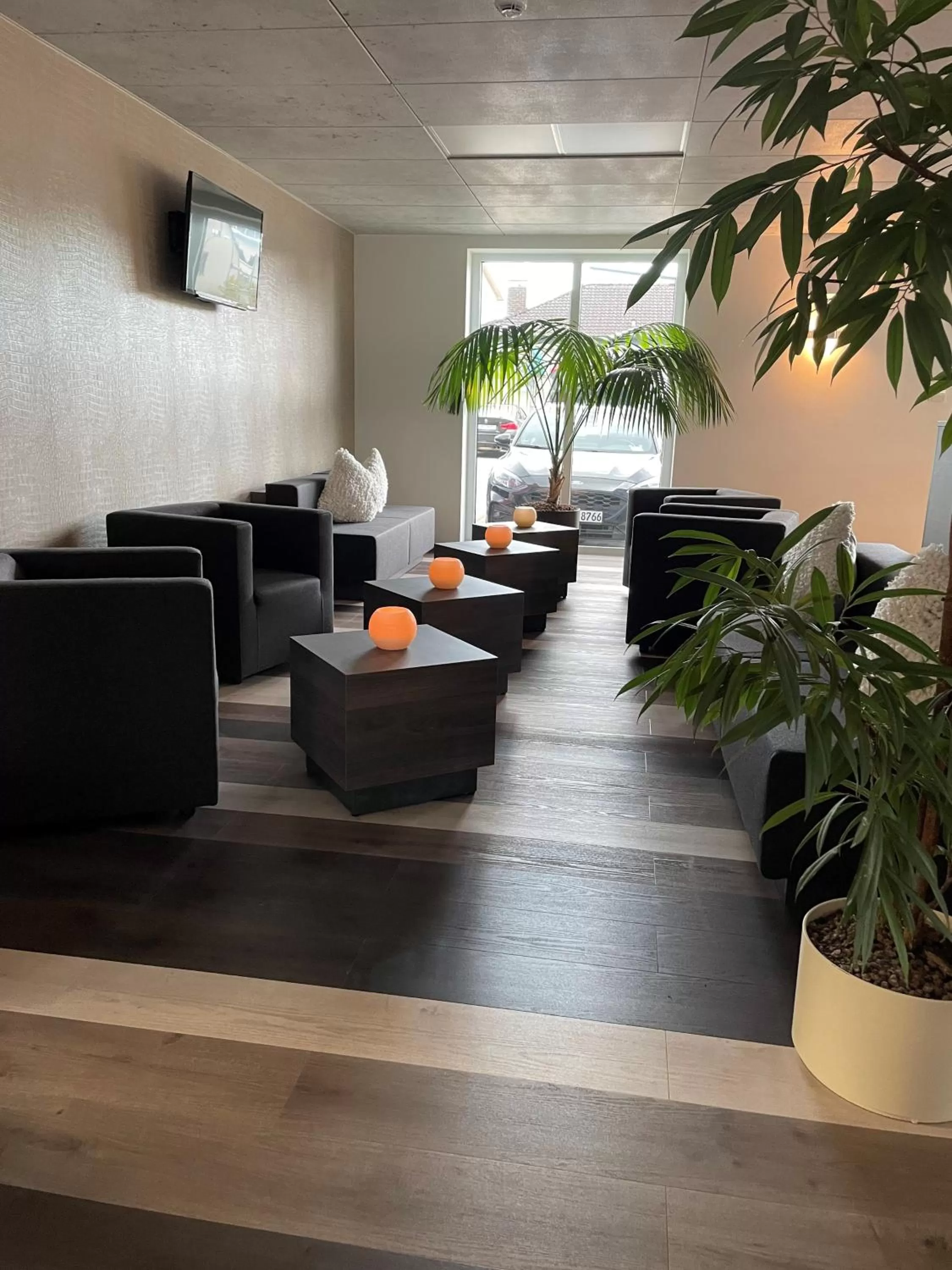 Lounge or bar in Hotel Schlafplatz